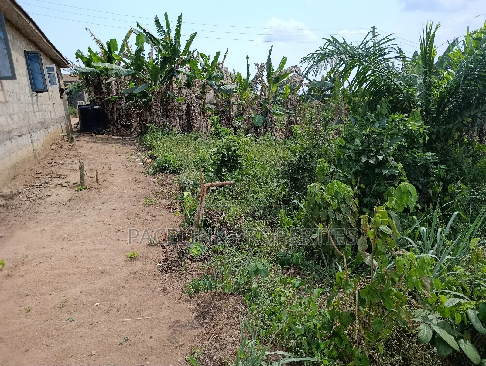 Full Plot of Land on the Road