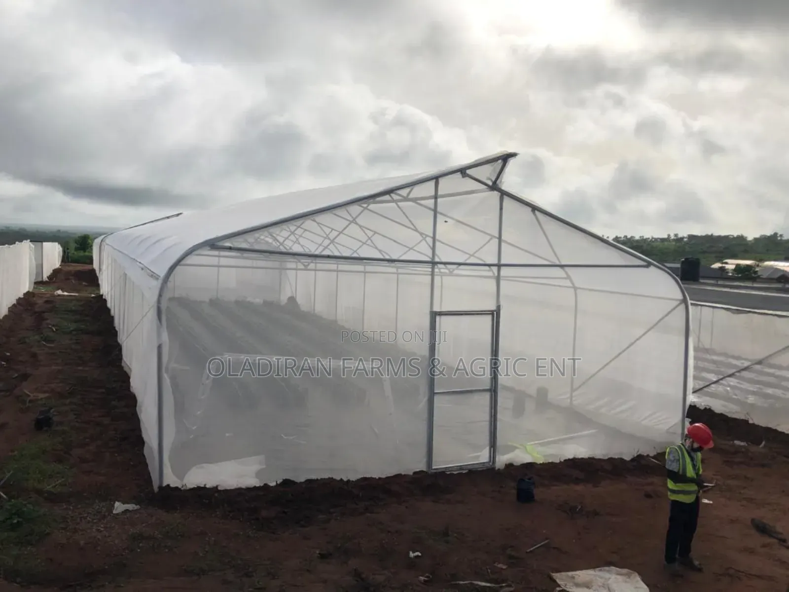 Greenhouse Installation and Management – Professional Service