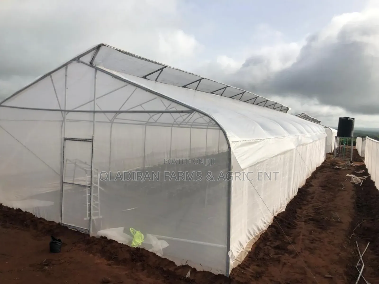 Greenhouse Installation and Management – Professional Service