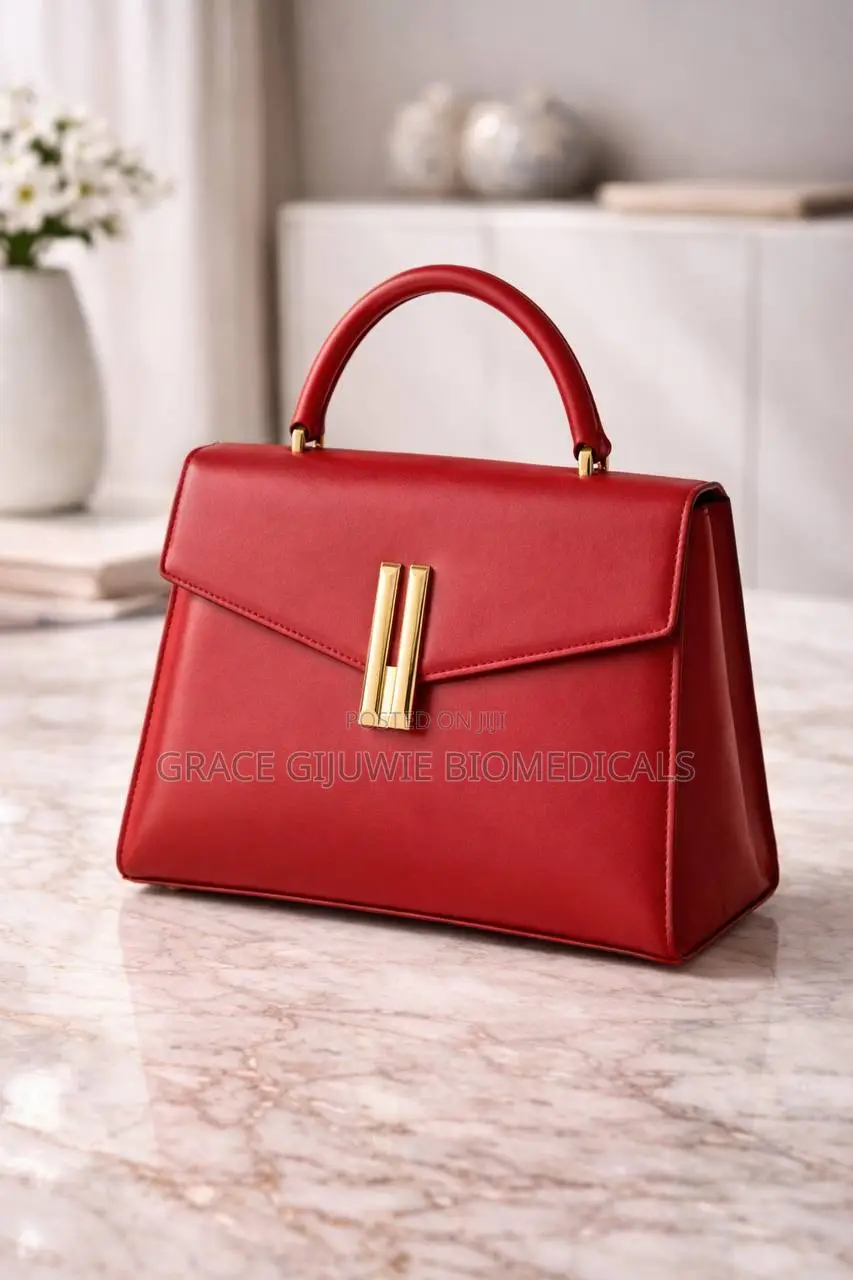 Ladies Hand Bag