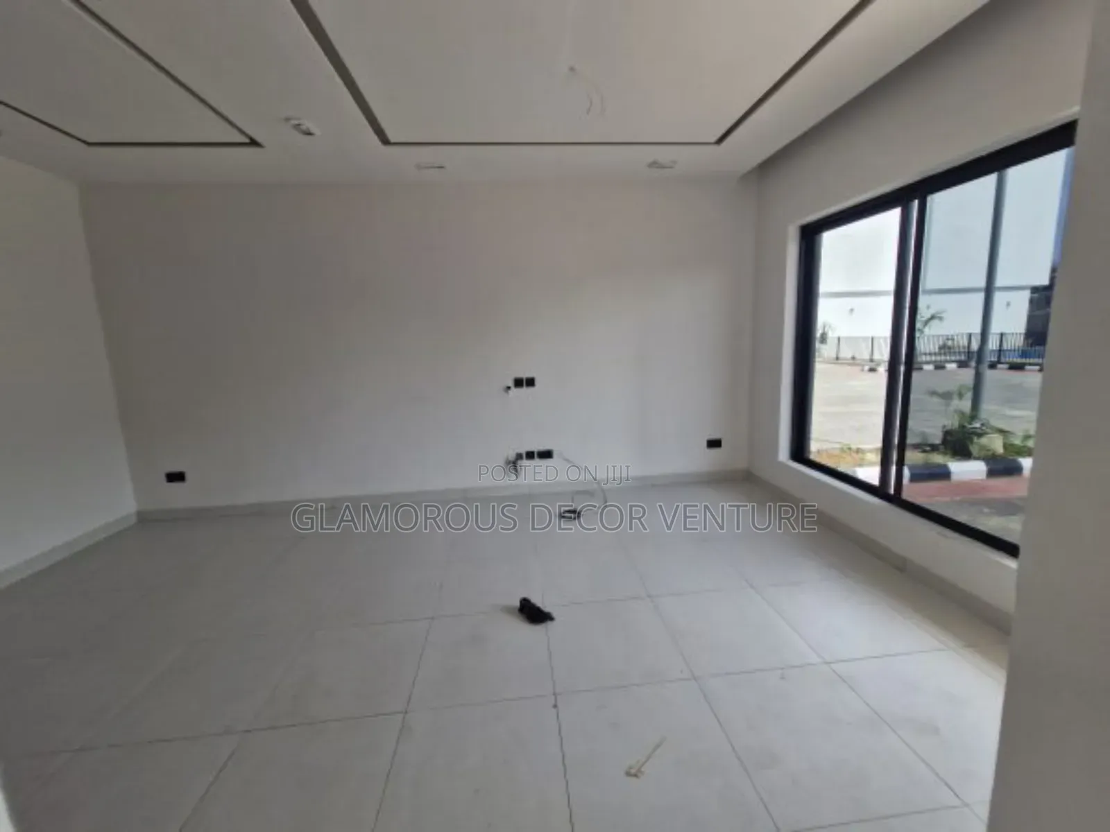 Proffesional House Paintings