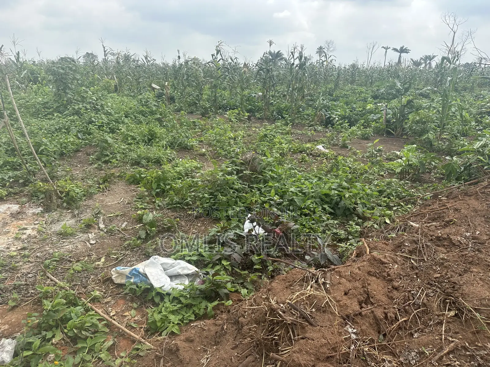 Lands for Sale at Richland City, Obafemi-Owode, Ogun State
