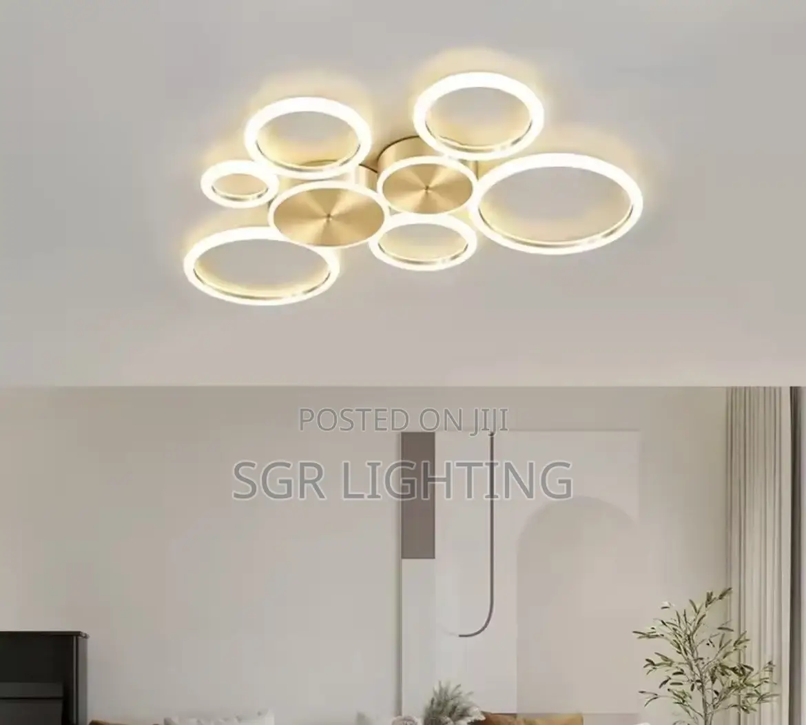 Modern Led Ceiling Chandelier and Aluminum Ceiling Lamp