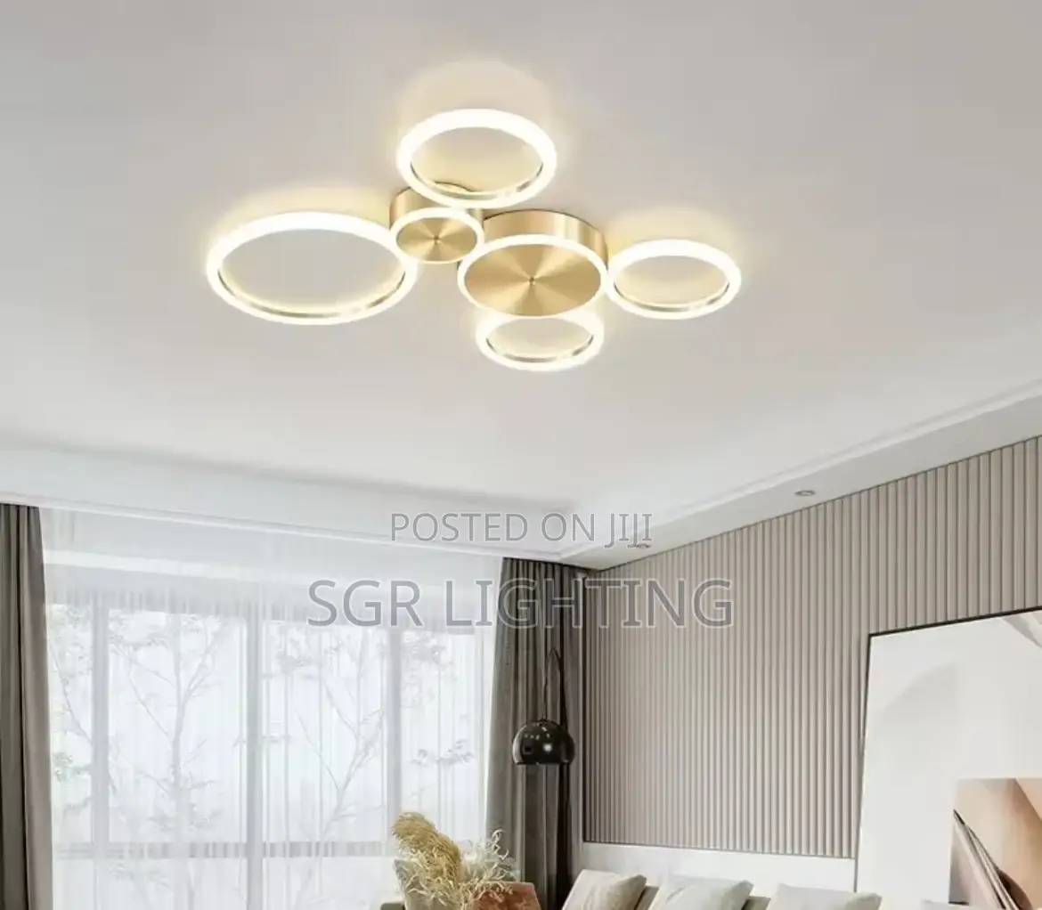 Modern Led Ceiling Chandelier and Aluminum Ceiling Lamp