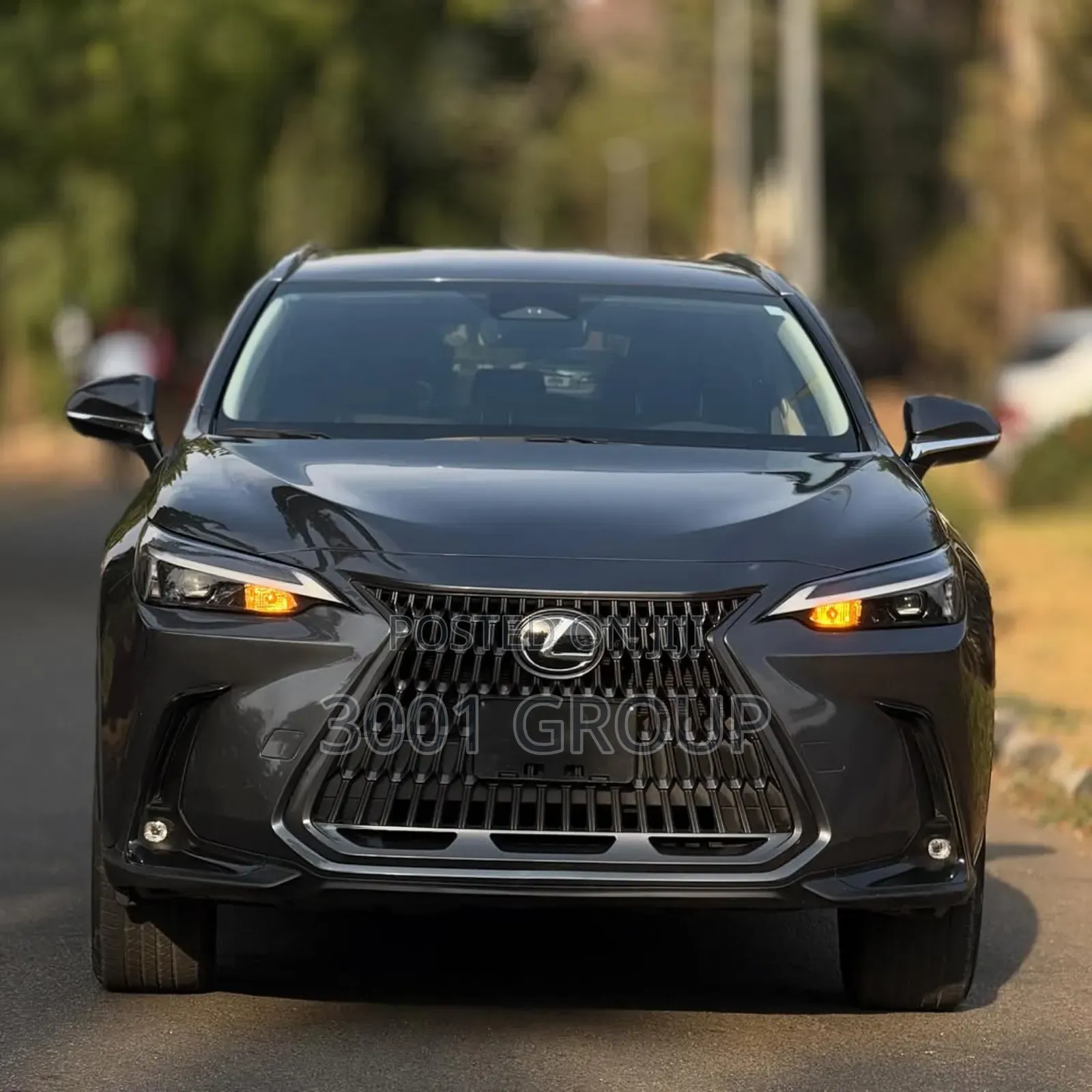 Lexus NX 250 AWD 2024 Gray