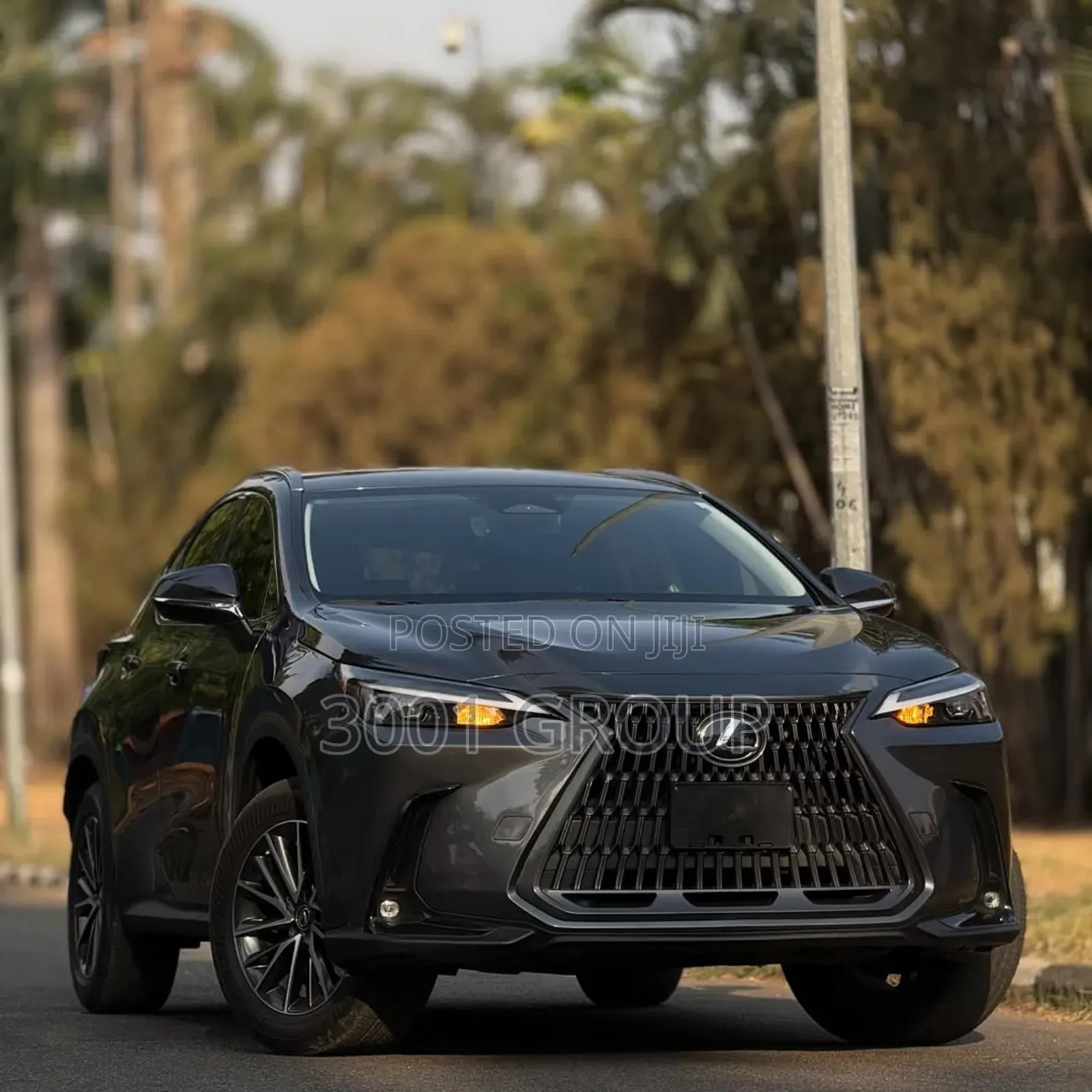 Lexus NX 250 AWD 2024 Gray