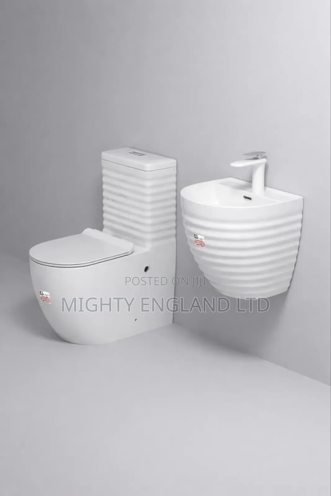 Zibra White Elite Executive Water Closet Toilet Wall-Hung Basin Set