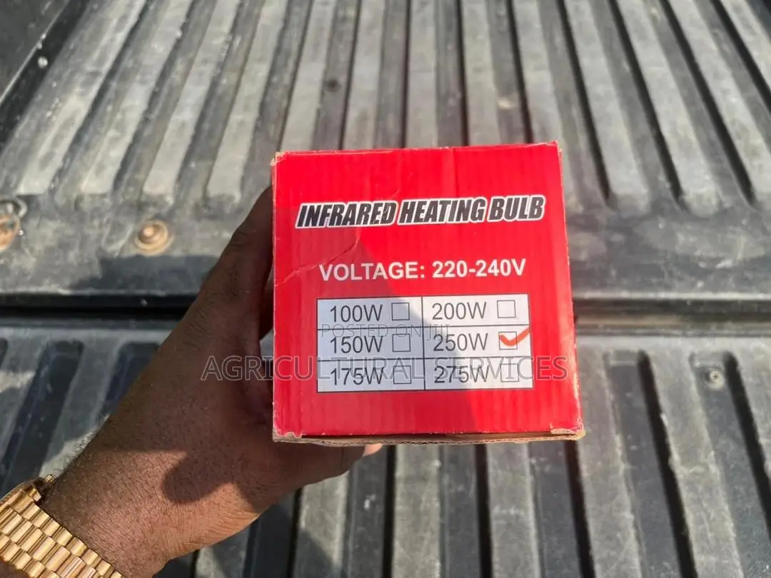 Infrared Heat Bulb