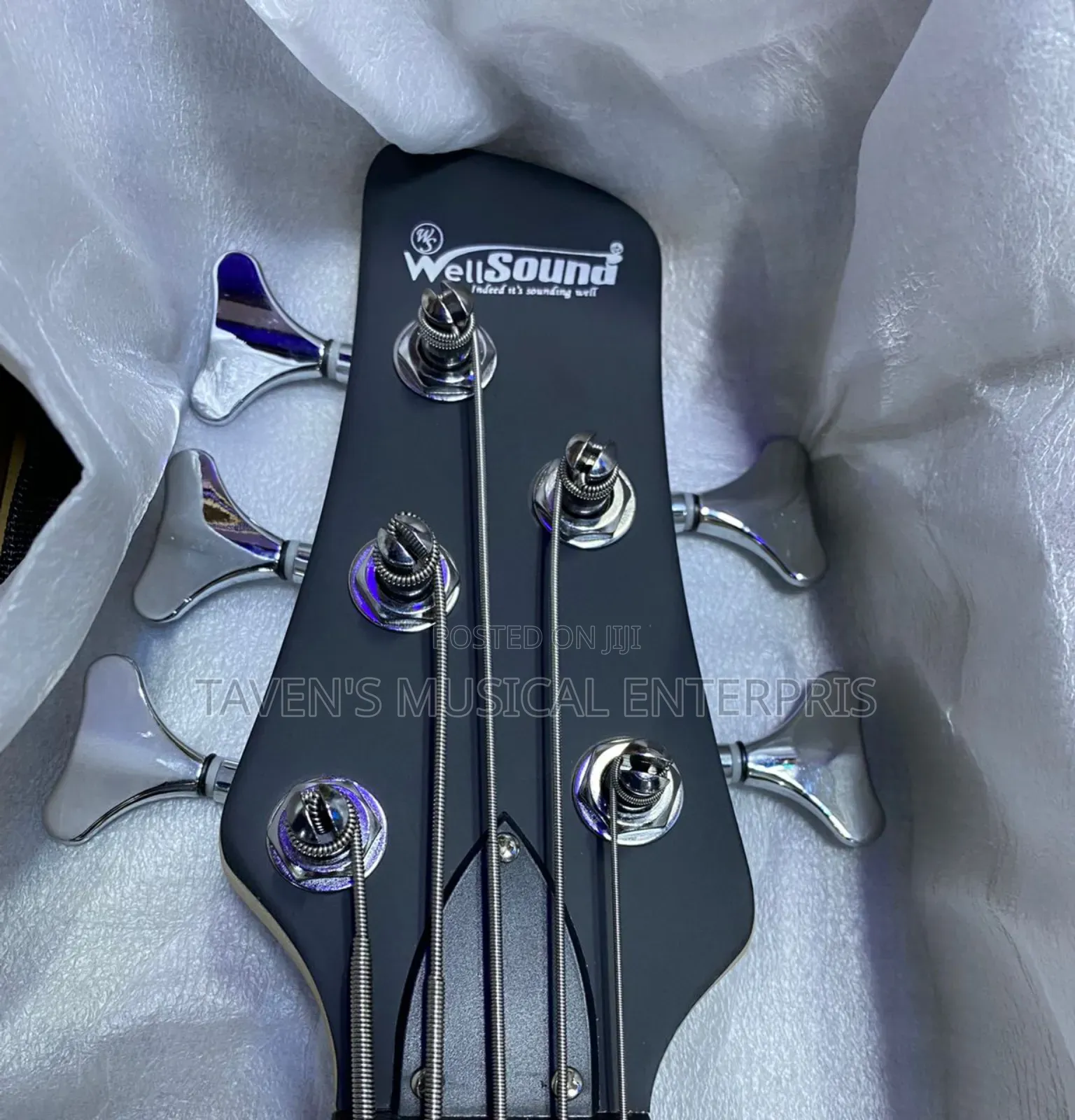 Wellsound Five String Electric Bass Guitar