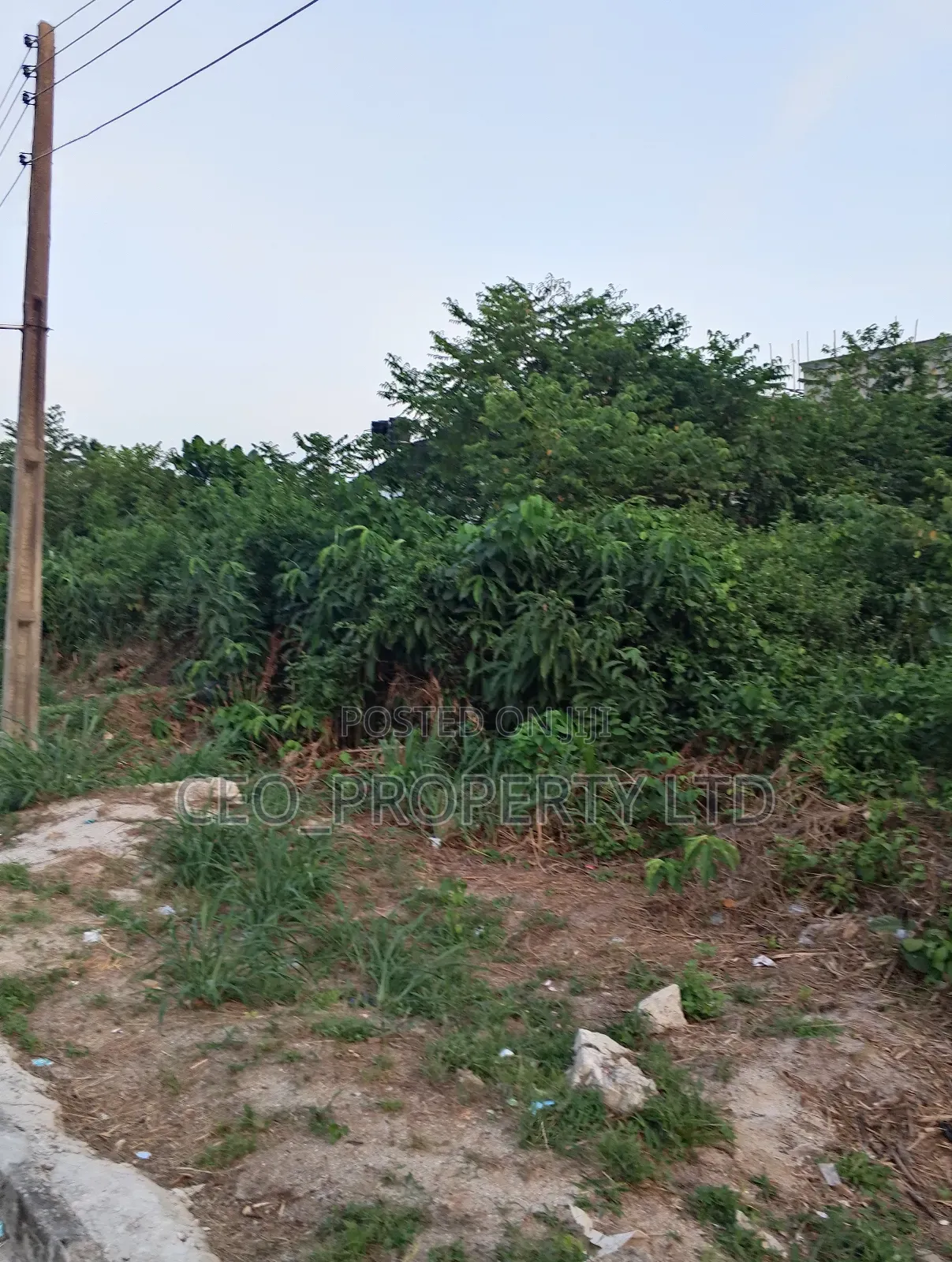 24hrs Light Estate Selling 450sqm 70million Cofo