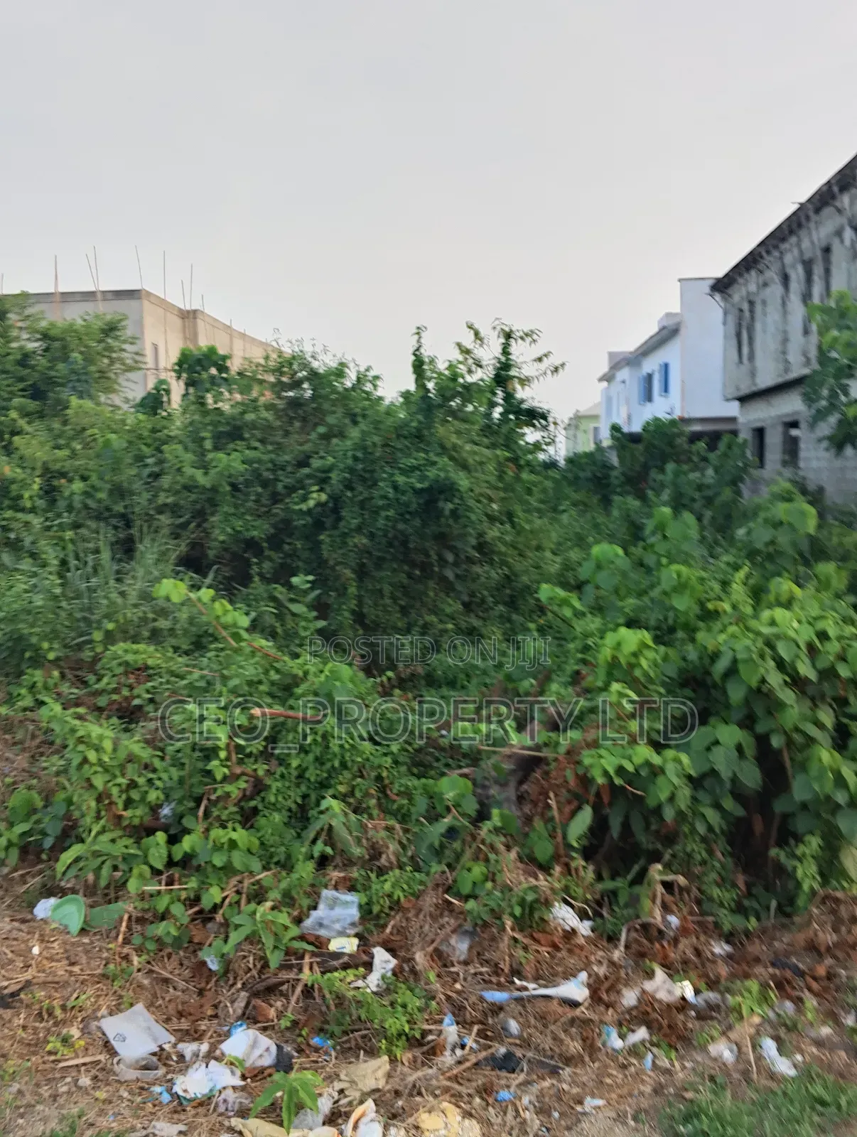 24hrs Light Estate Selling 450sqm 70million Cofo