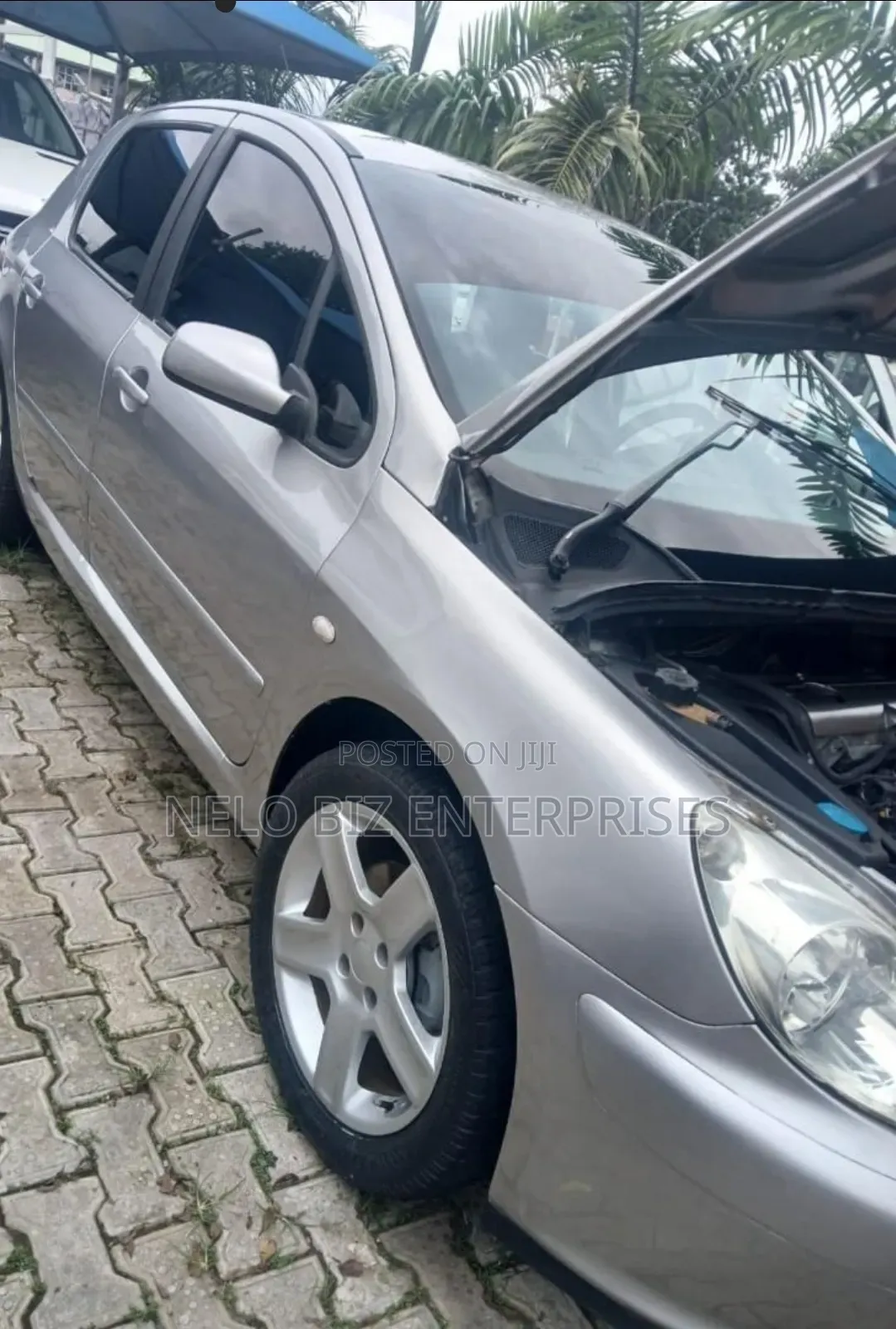 Peugeot 307 2007 Silver