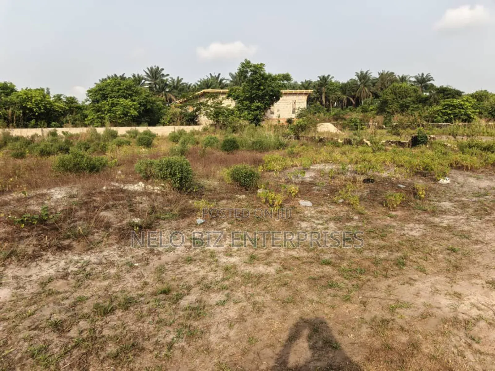 2 Solid Plots of Land