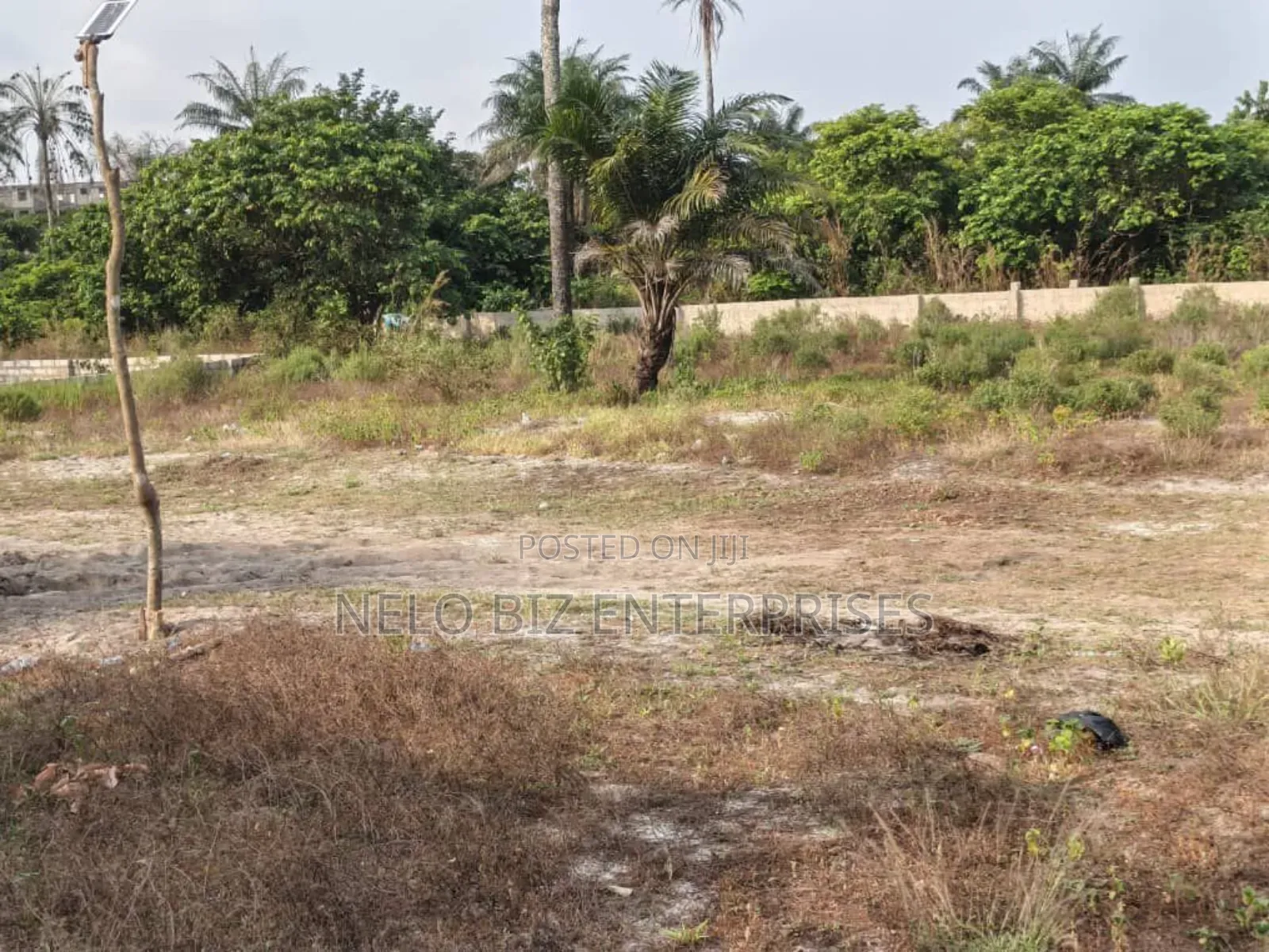 2 Solid Plots of Land