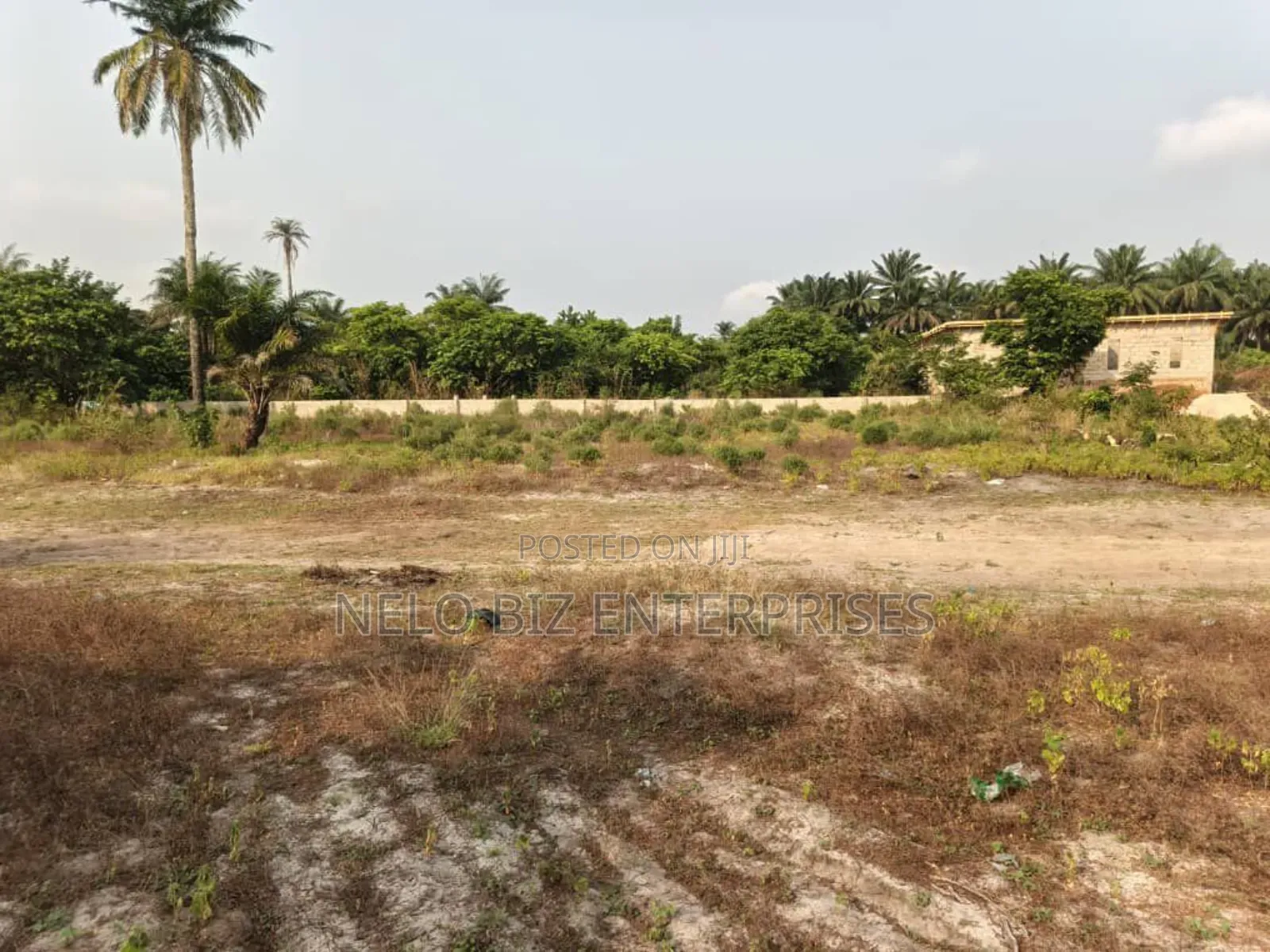 2 Solid Plots of Land