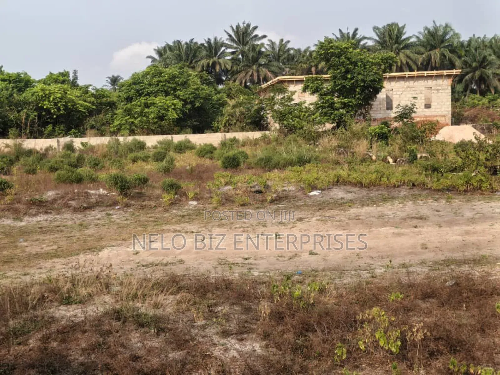 2 Solid Plots of Land