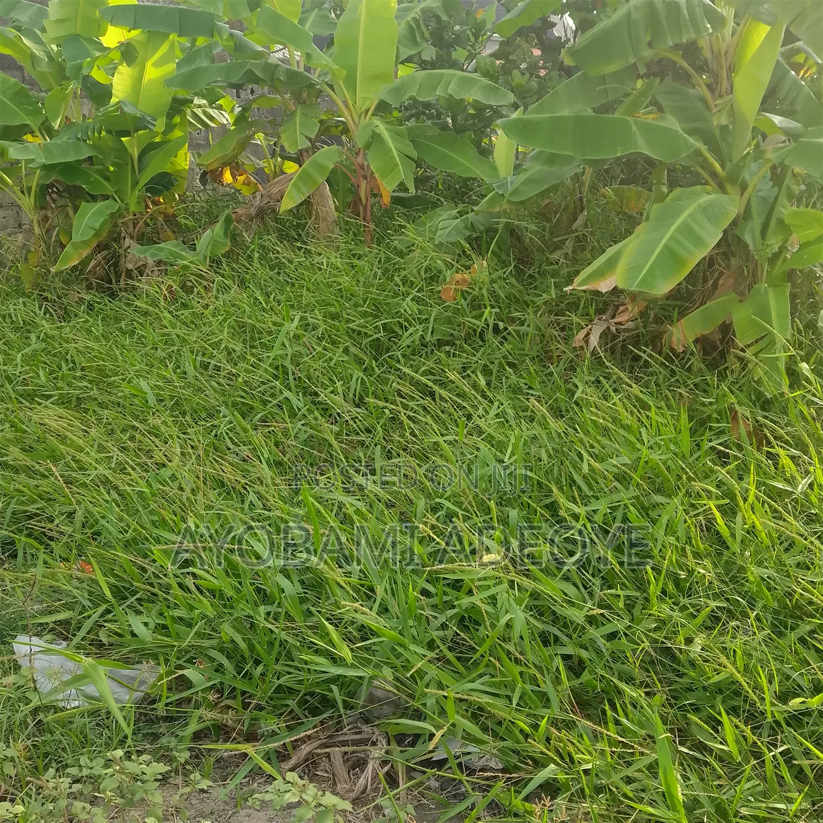 Plot for Sale at Ikoyi and Oniru Lagos Nigeria