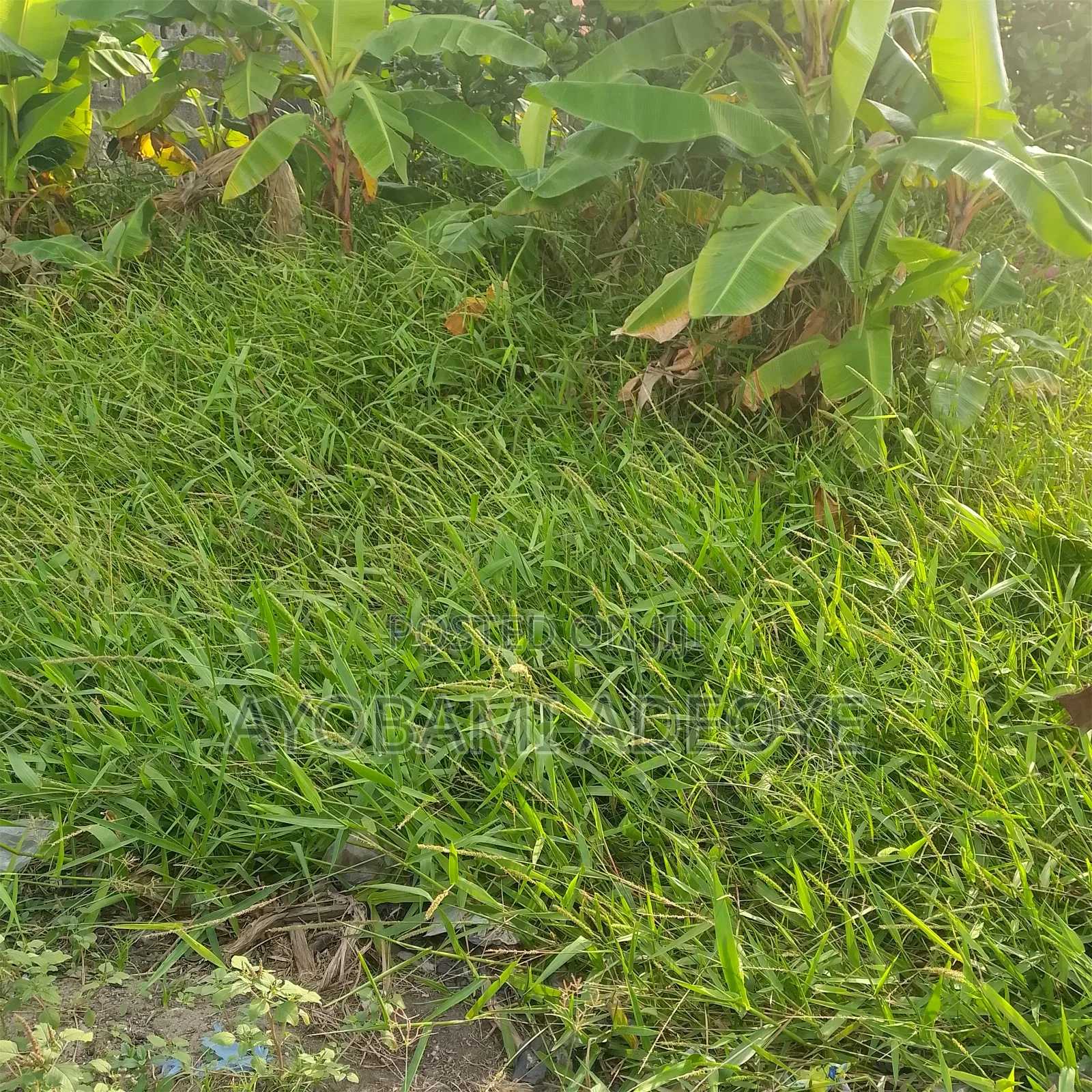 Plot for Sale at Ikoyi and Oniru Lagos Nigeria