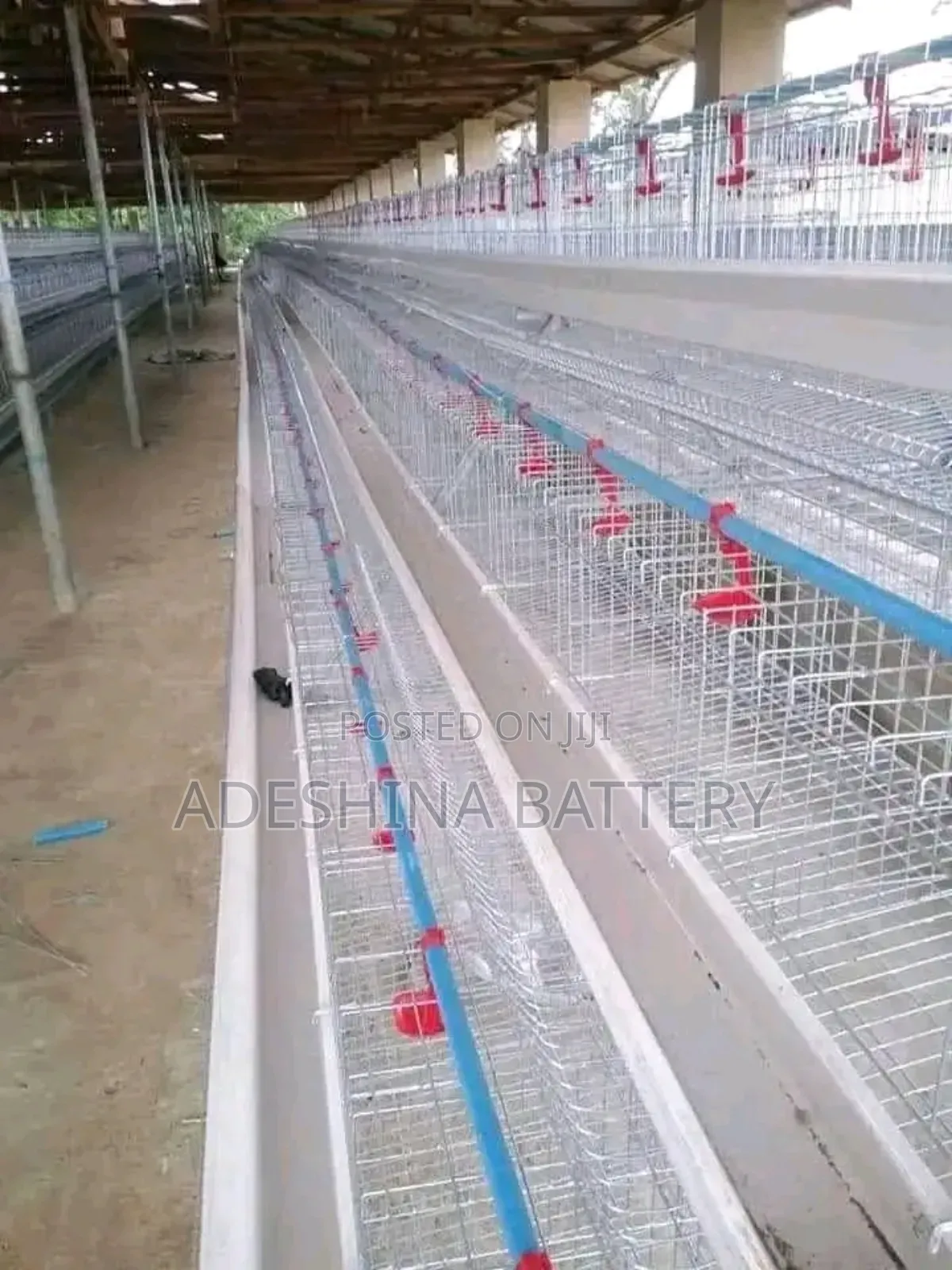 Life Battery Cages