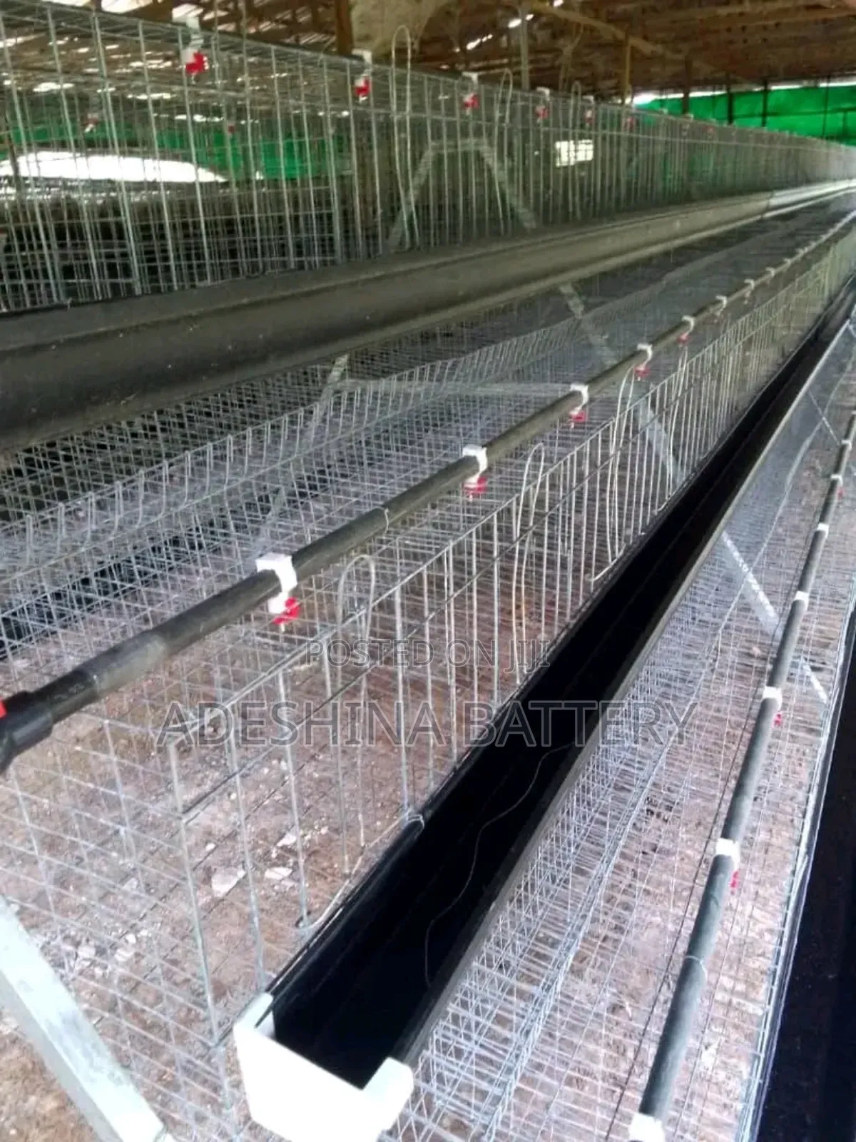 Life Battery Cages