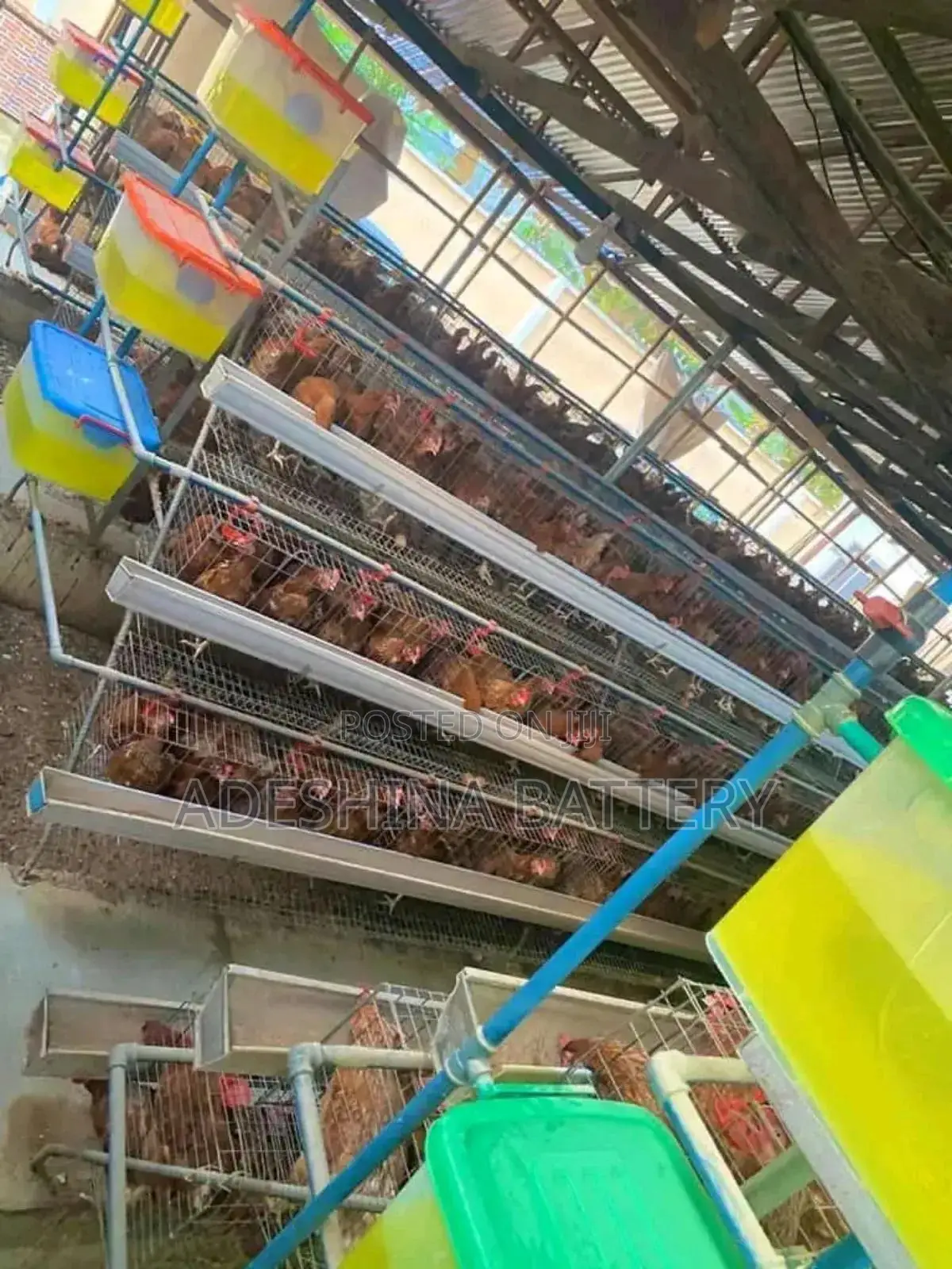 World Wide Battery Cages