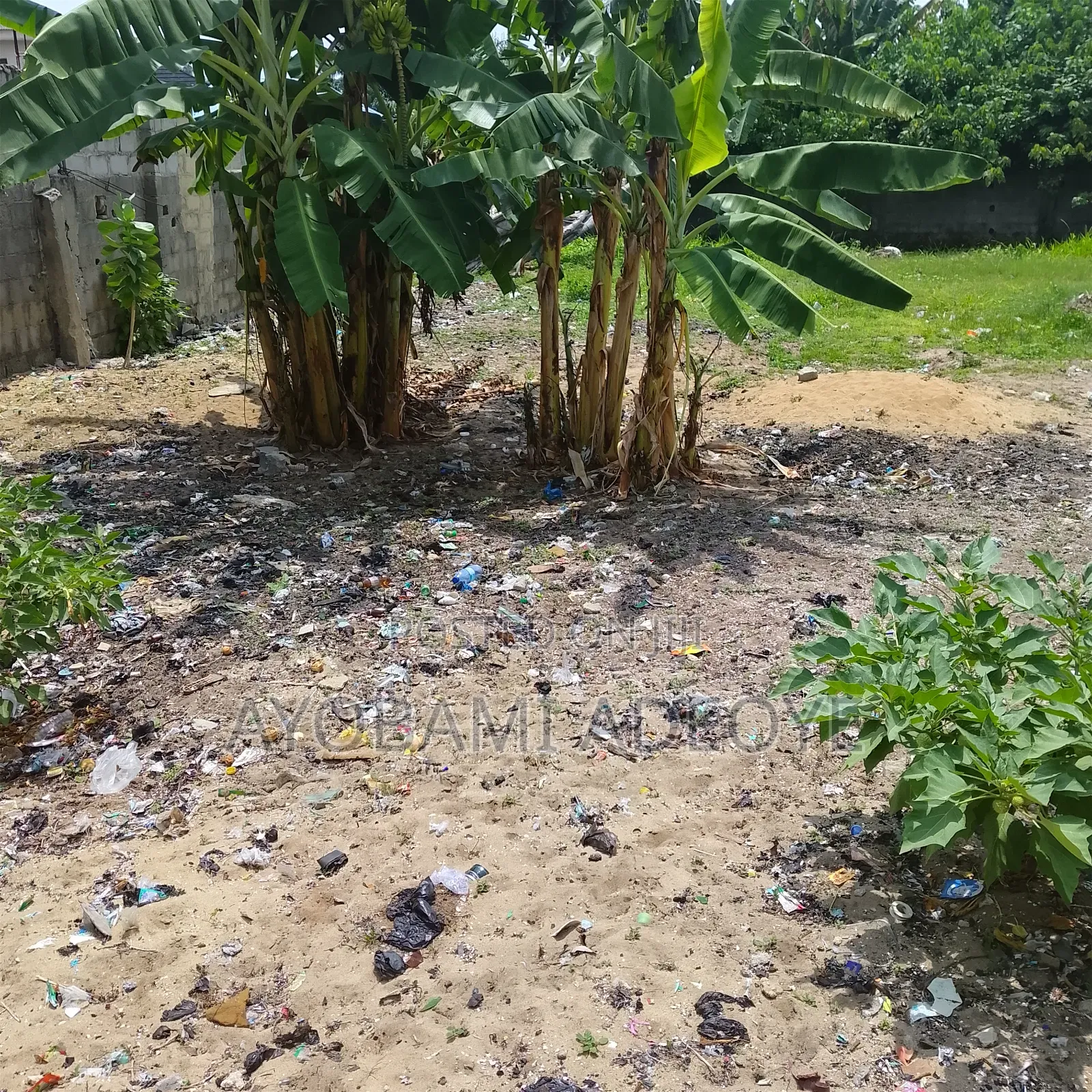 Fully Plot of Land Fenced and Gated With Bohole