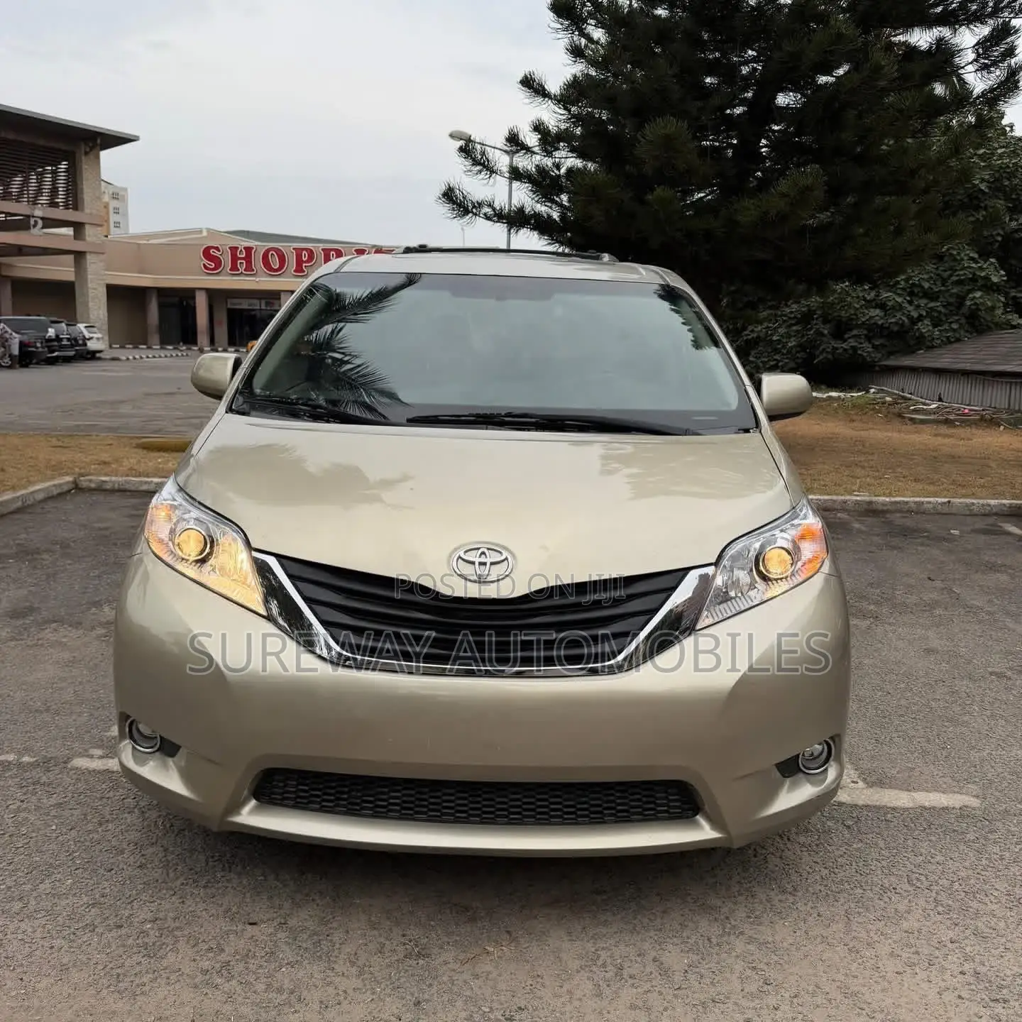 Toyota Sienna XLE 7 Passenger (3.5L 6cyl 6A) 2016 Gold