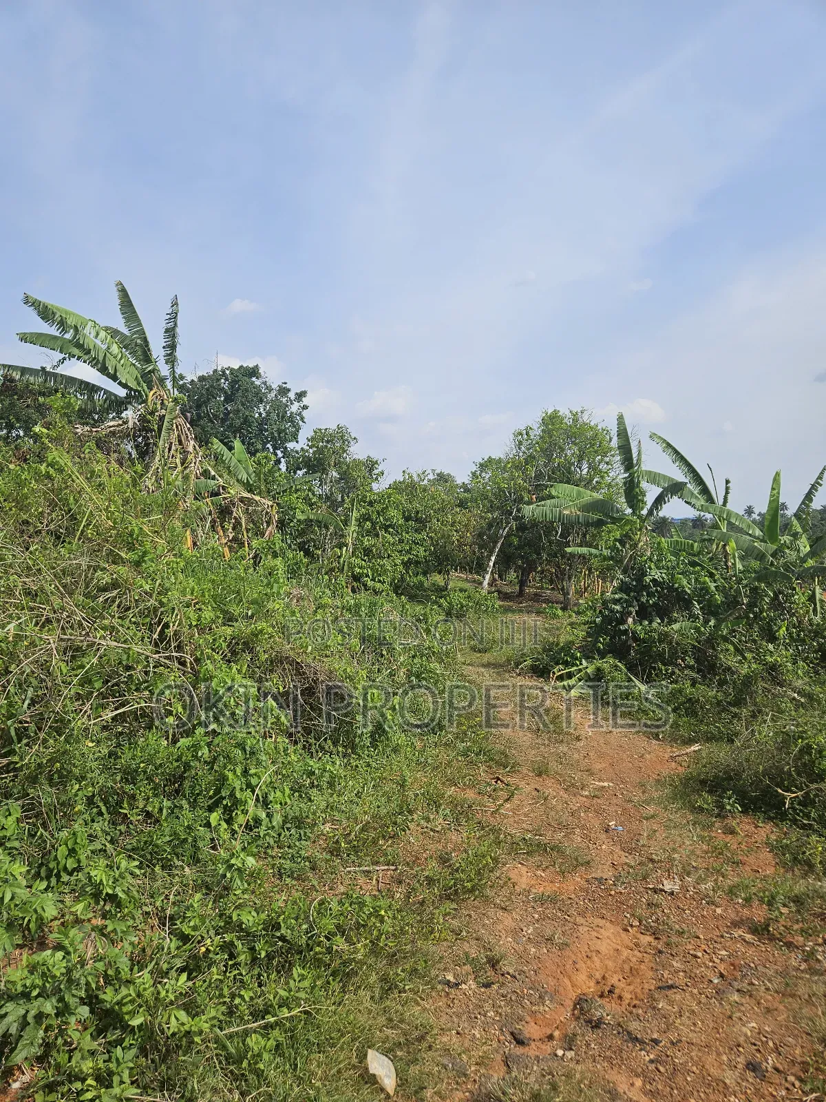 Commercial Industrial and Farm Estate Land