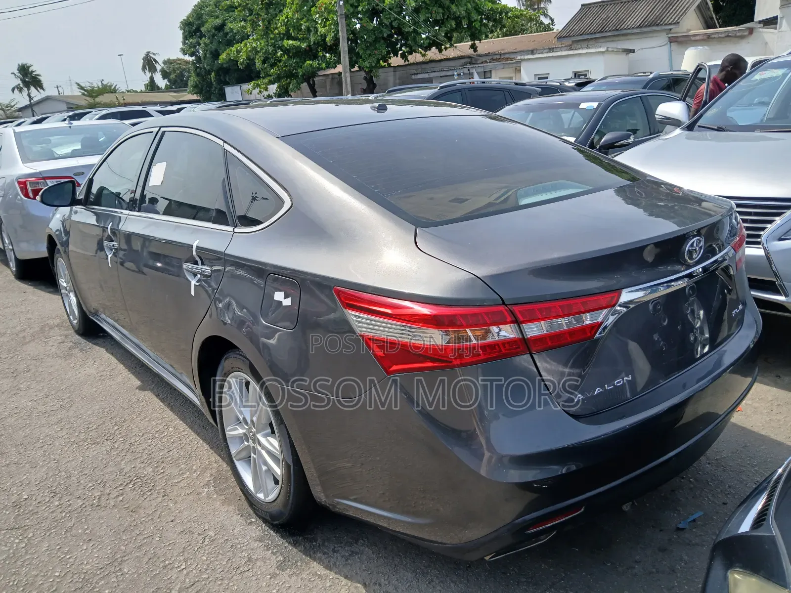 Toyota Avalon XLE 4dr Sedan (3.5L 6cyl 6A) 2015 Gray