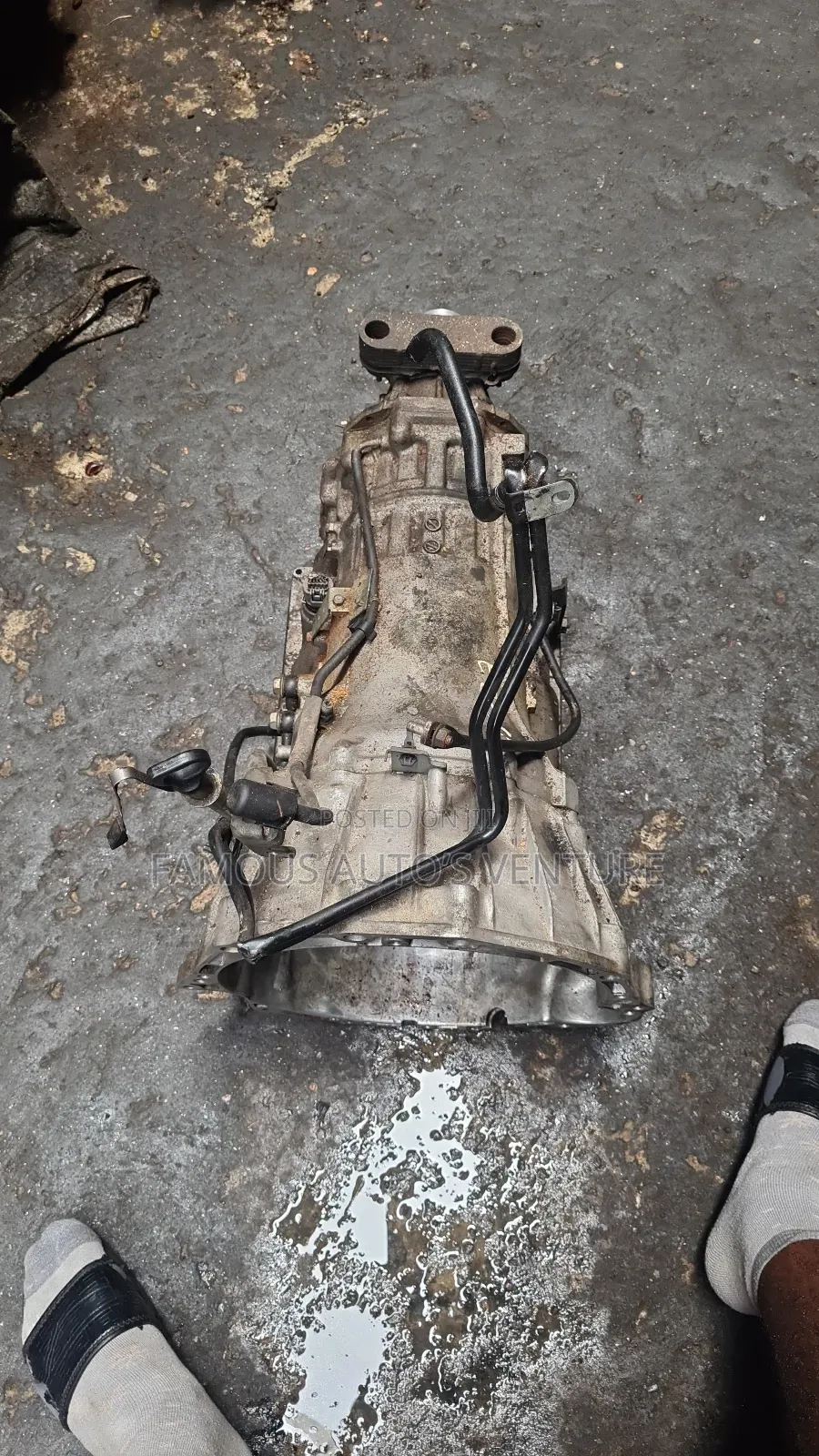 Infinity Fx35 2005 Gearbox