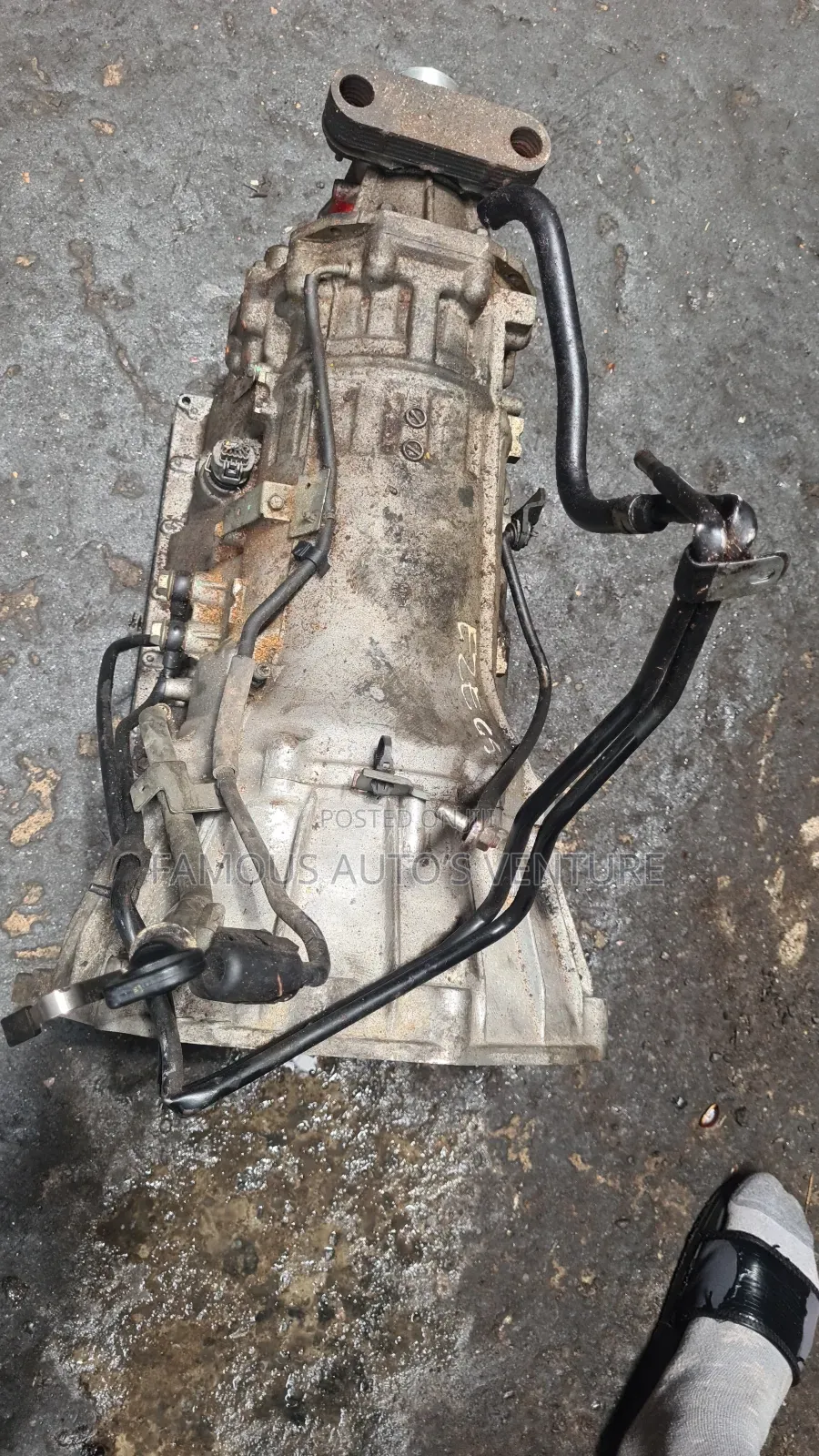 Infinity Fx35 2005 Gearbox