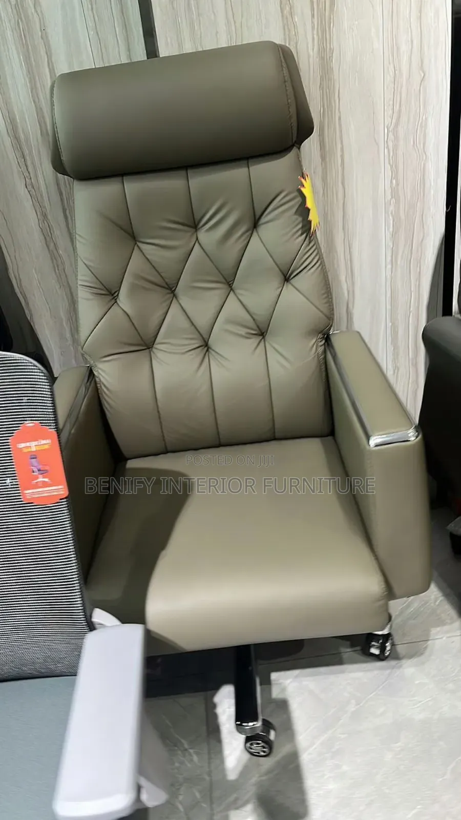 Executive Ergonomic Office Chair