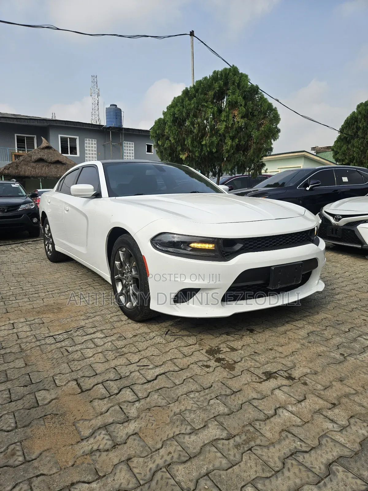 Dodge Charger 2017 White