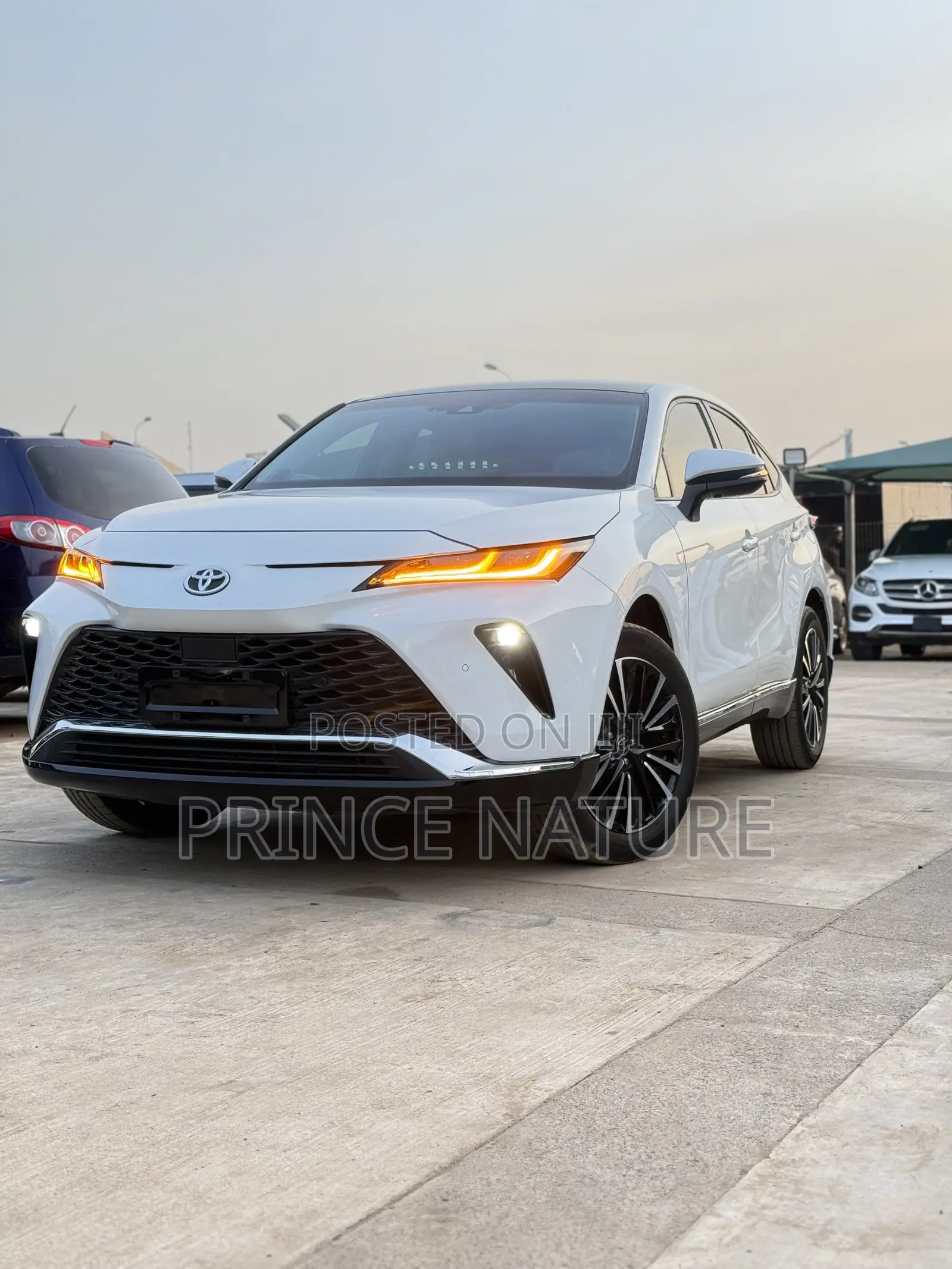 Toyota Venza XLE AWD 2024 White