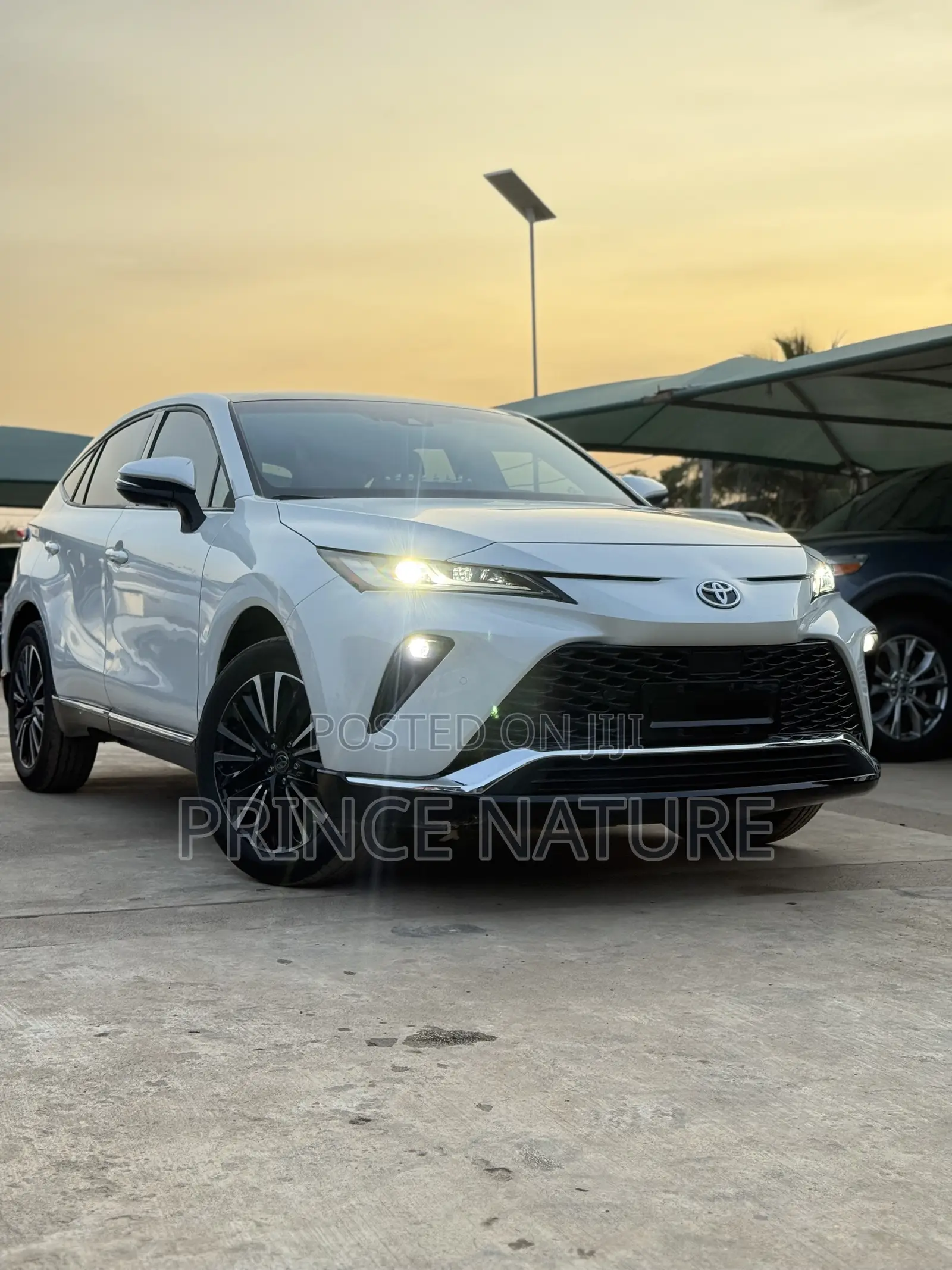 Toyota Venza XLE AWD 2024 White