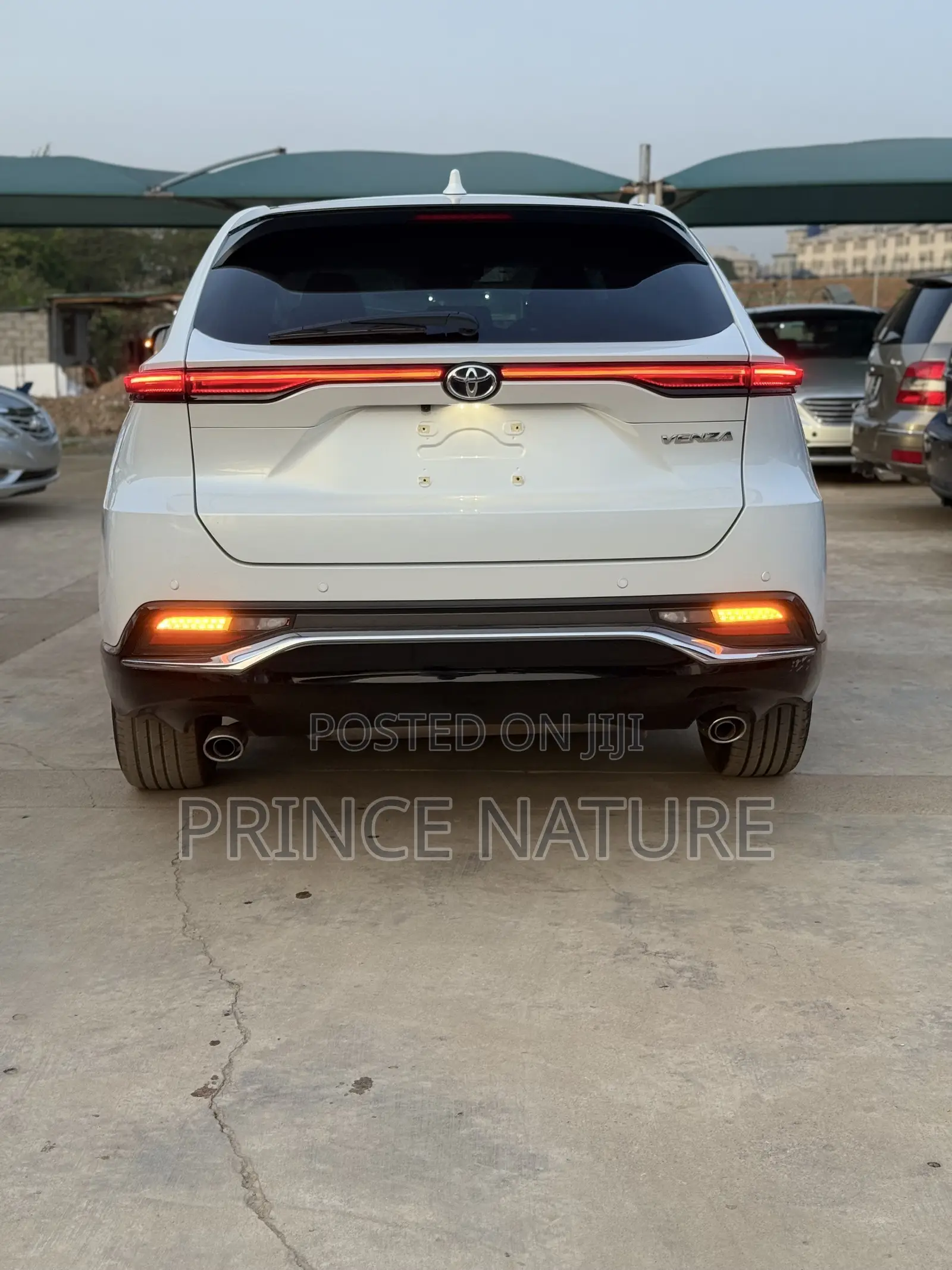 Toyota Venza XLE AWD 2024 White