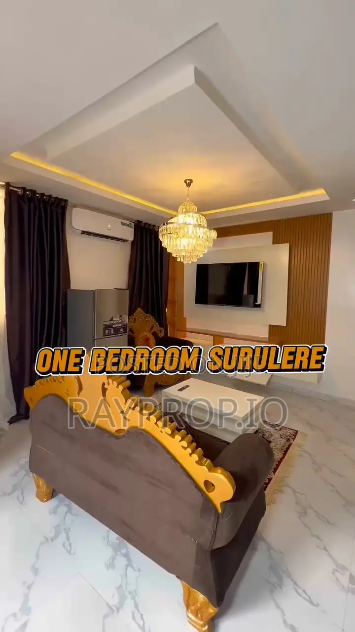 253197ko - 1 Bedroom Shortlet in Surulere