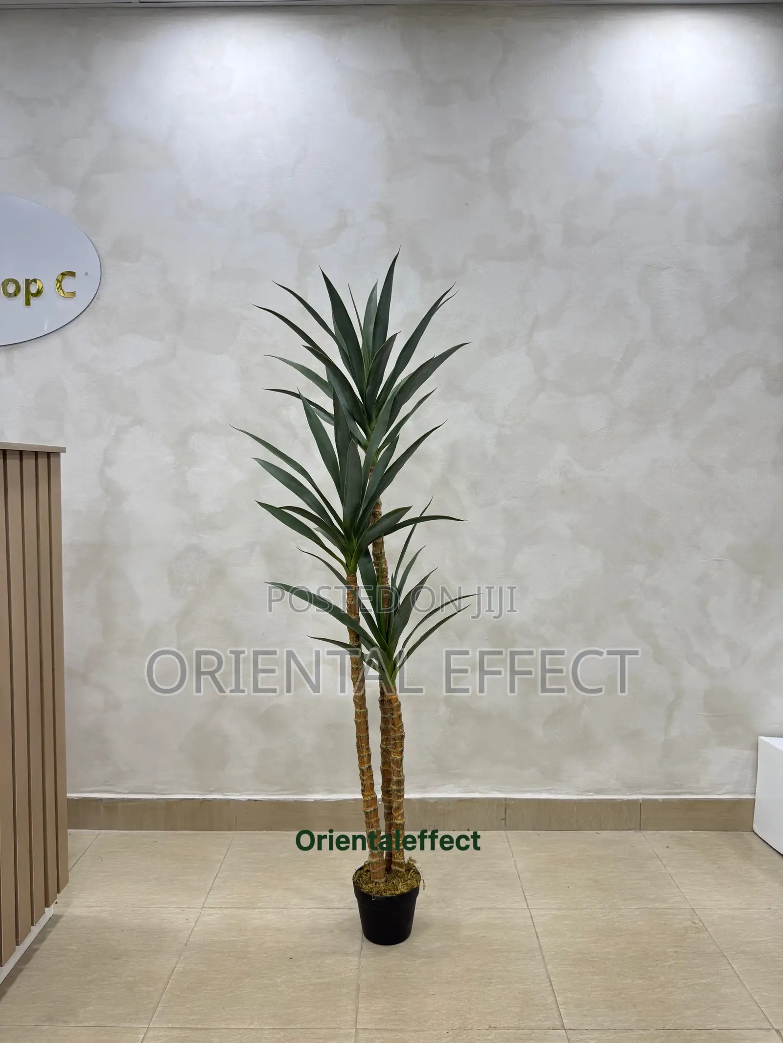 Artificial Slim Yucca Plant (160cm) Modern Indoor Home Office Decor