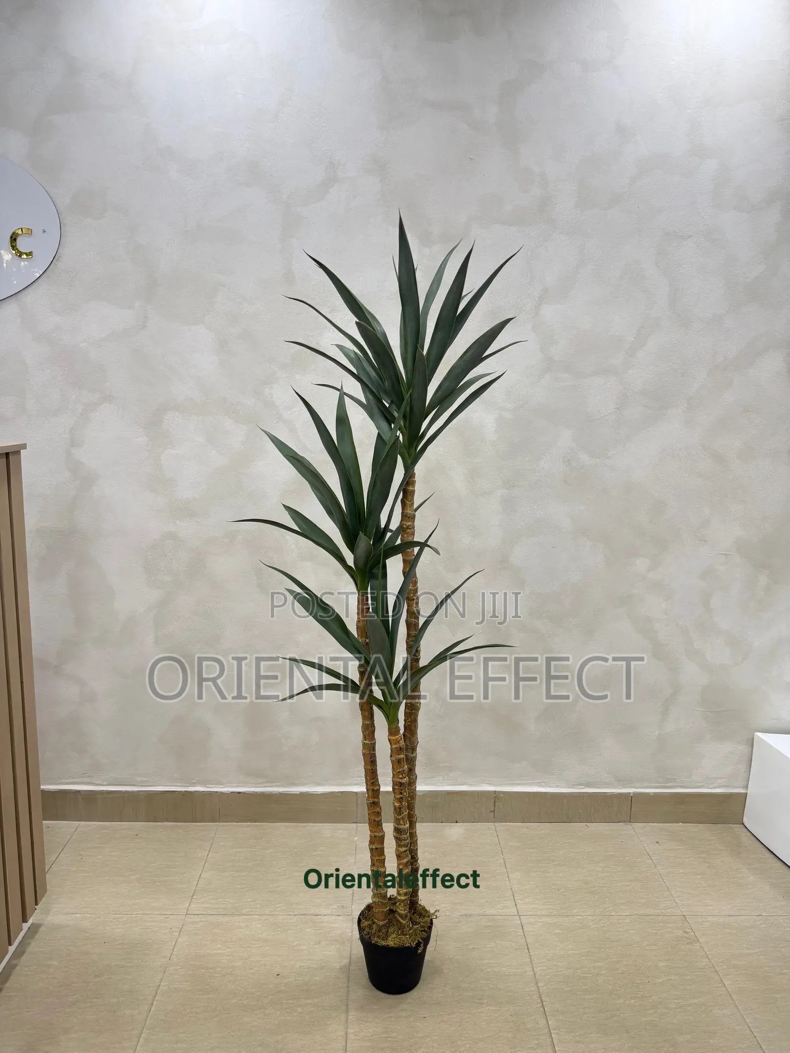 Artificial Slim Yucca Plant (160cm) Modern Indoor Home Office Decor