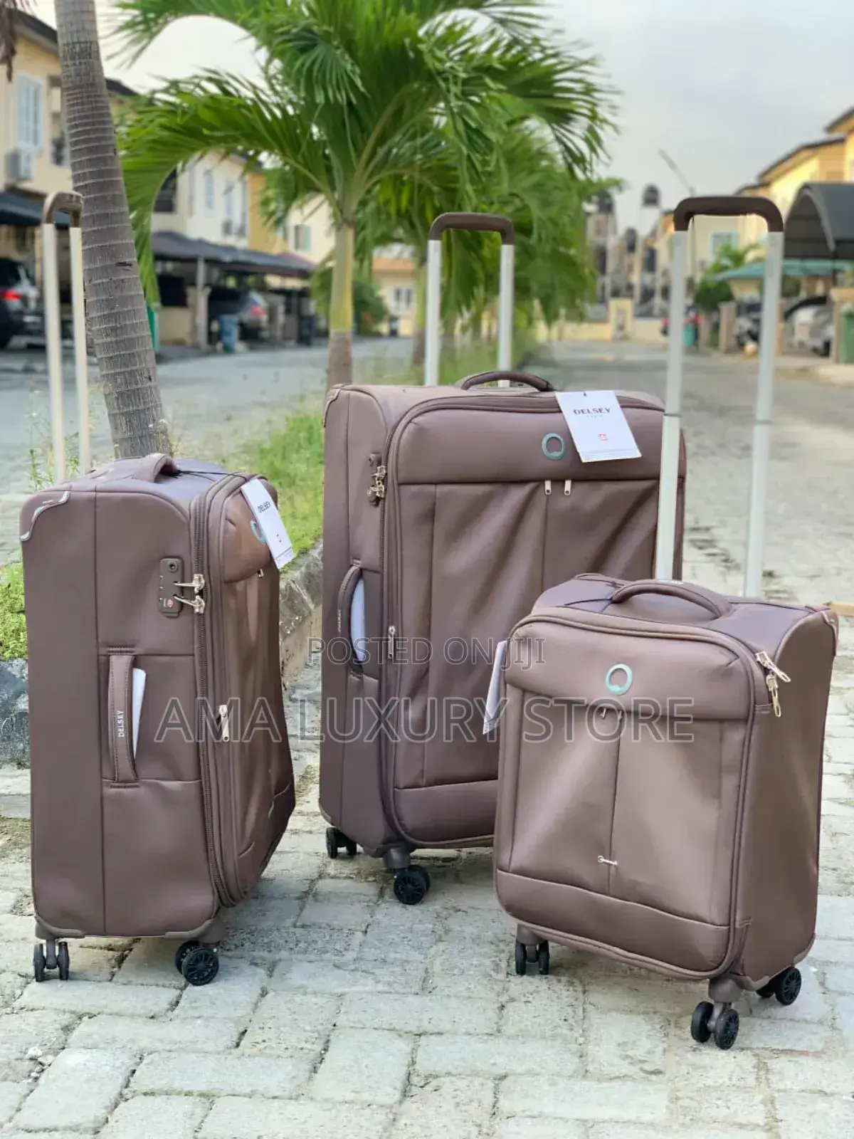 Delsey Helium Luxury Travel Luggage 3in1 Set