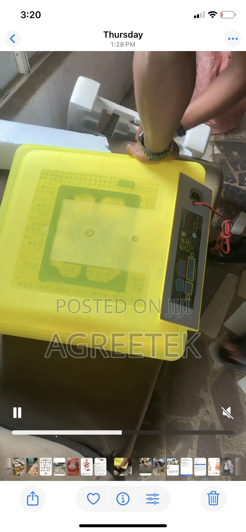 Egg Incubator
