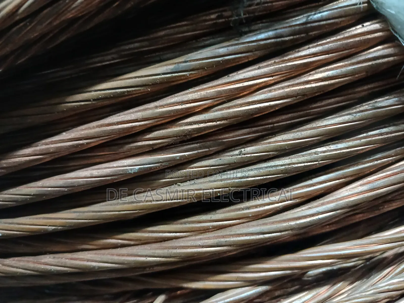 1x50mm2 Bear Copper