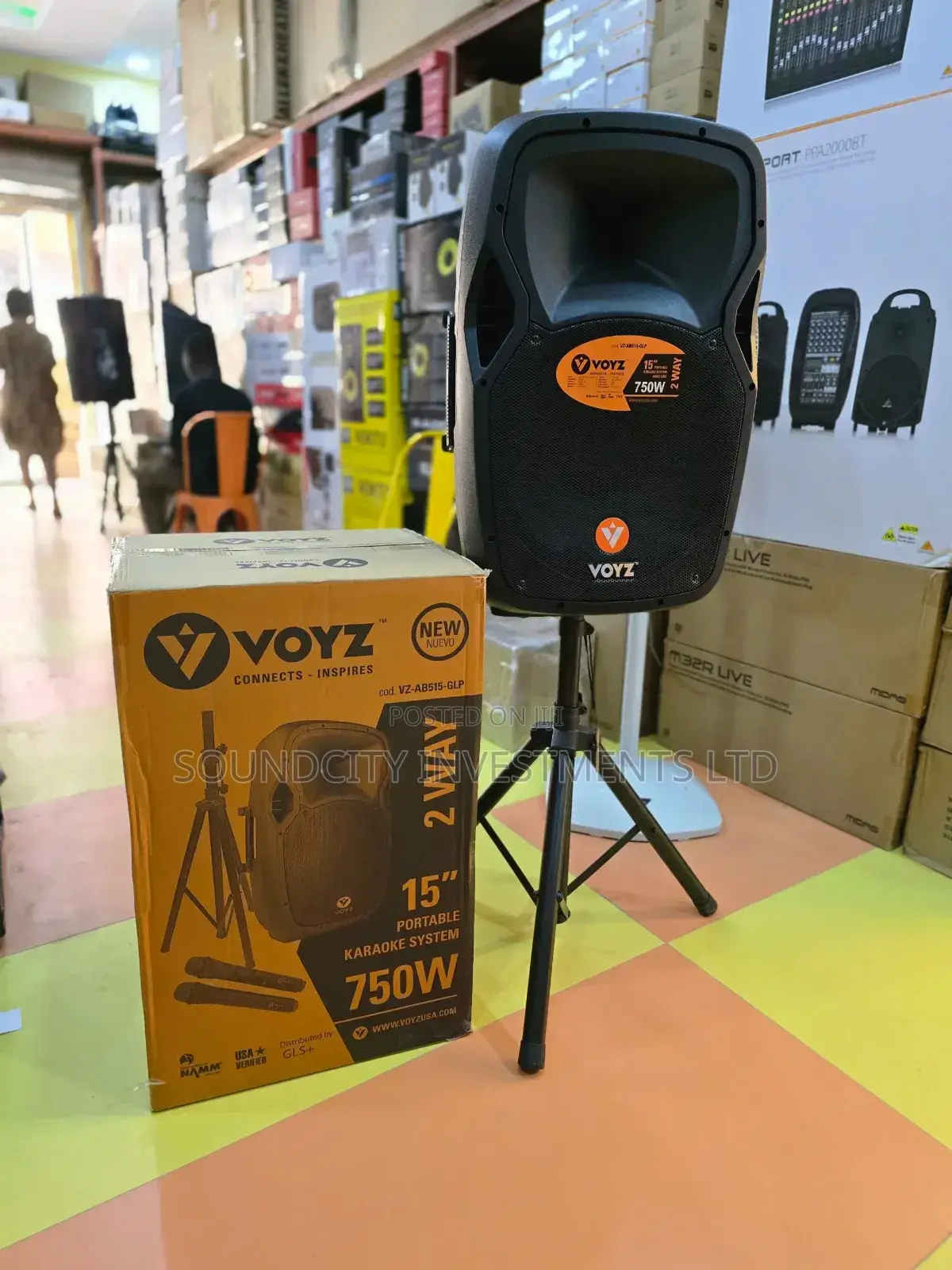 Voyz Rechargeable Portable 15" Portable Karaoke System.