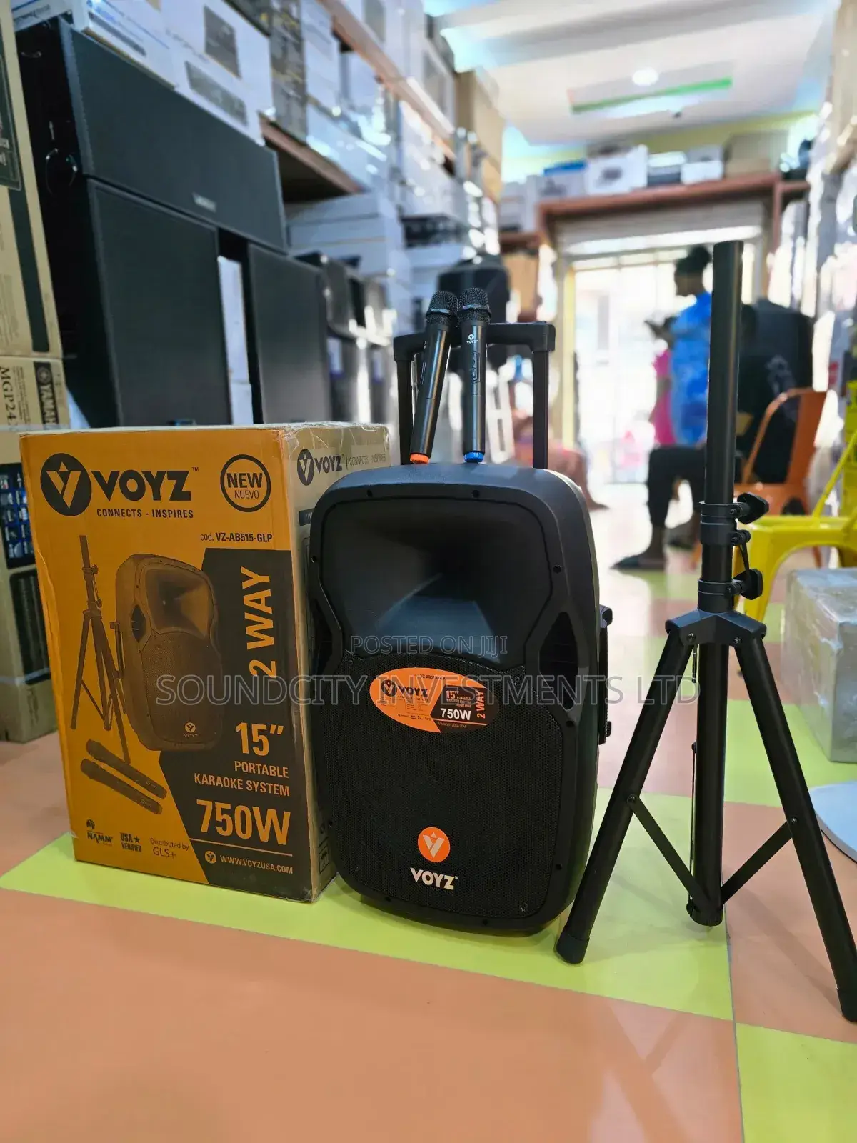 Voyz Rechargeable Portable 15" Portable Karaoke System.