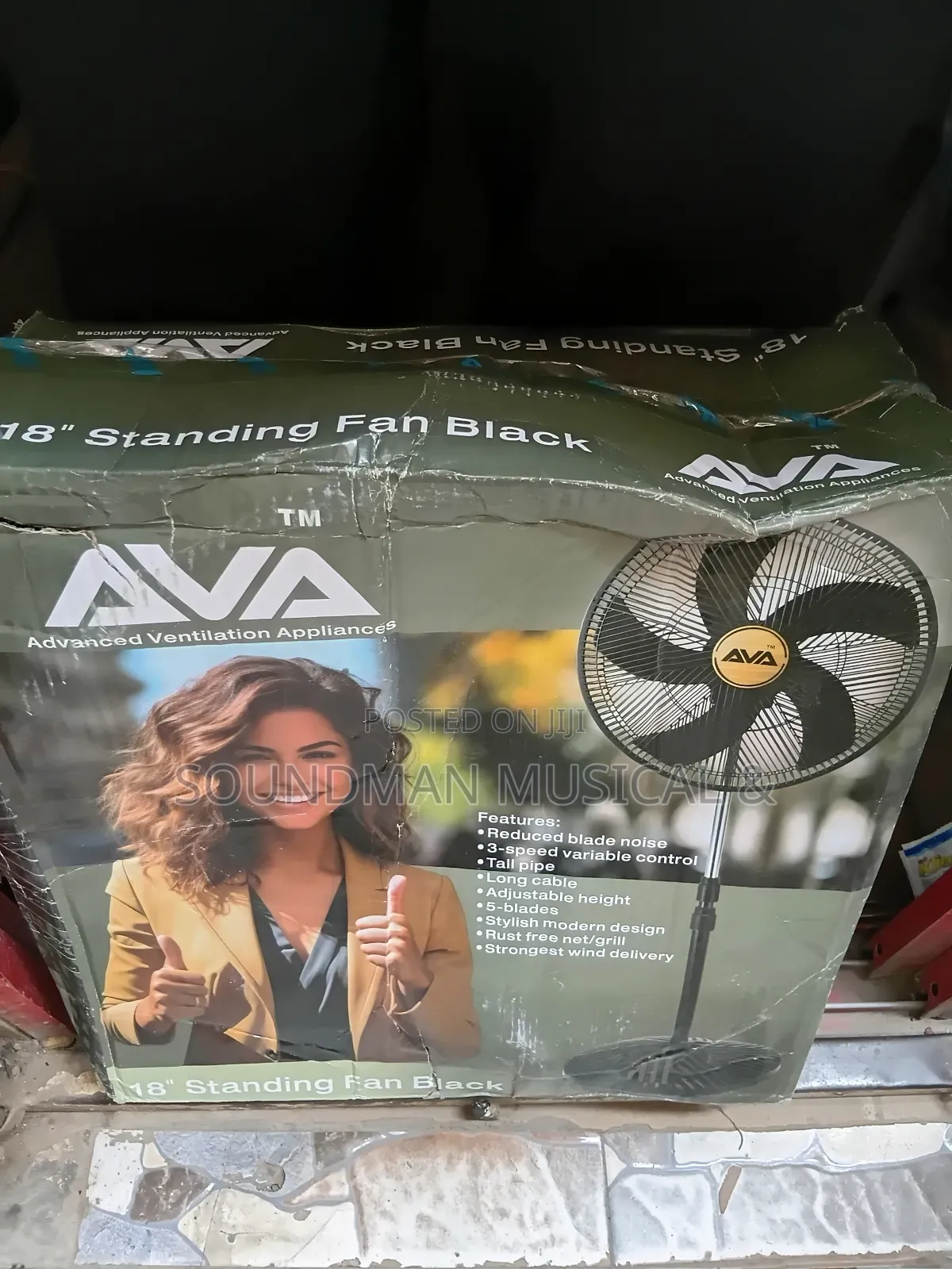 Ava 18" Standing Fan Black