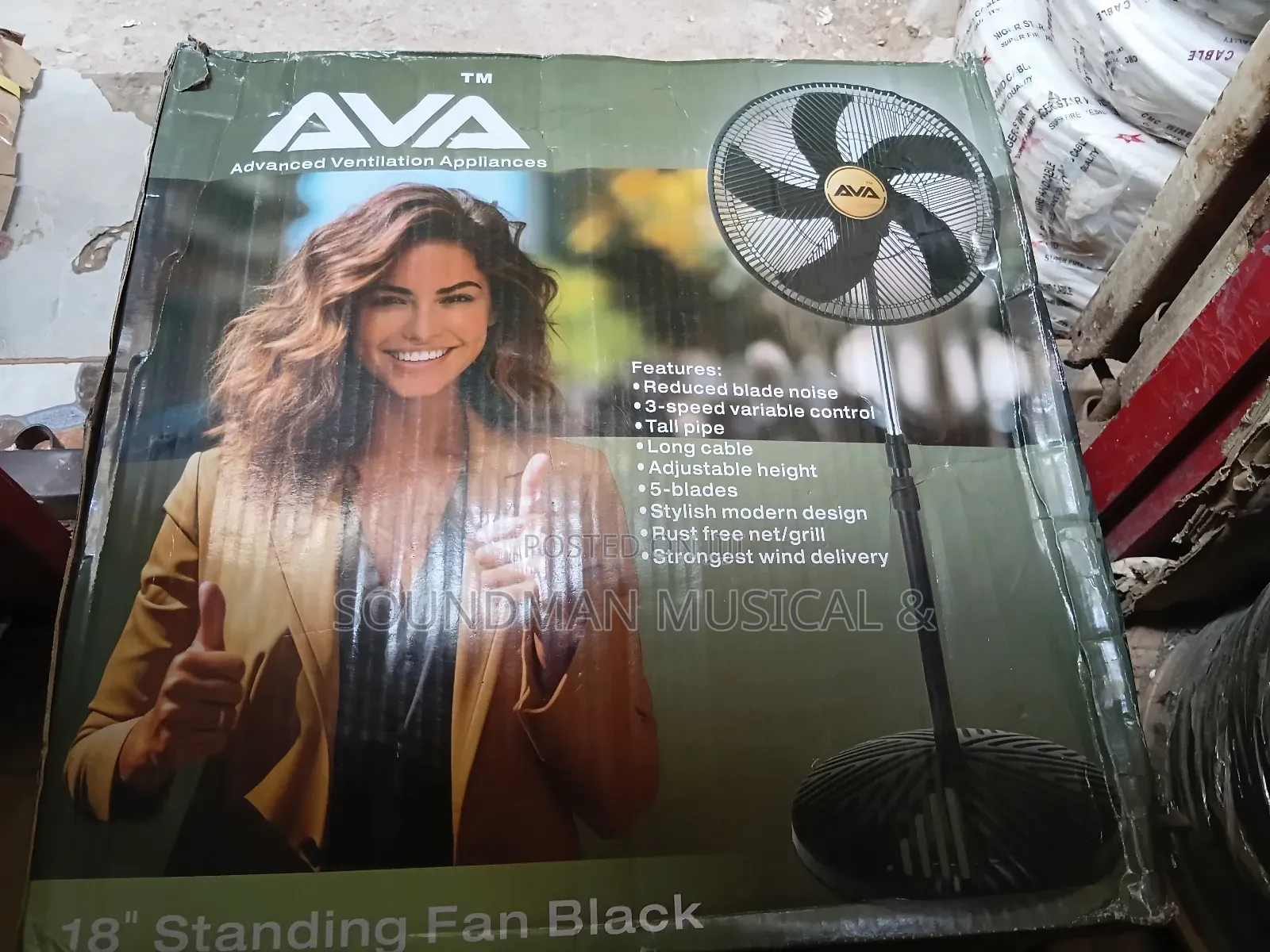 Ava 18" Standing Fan Black