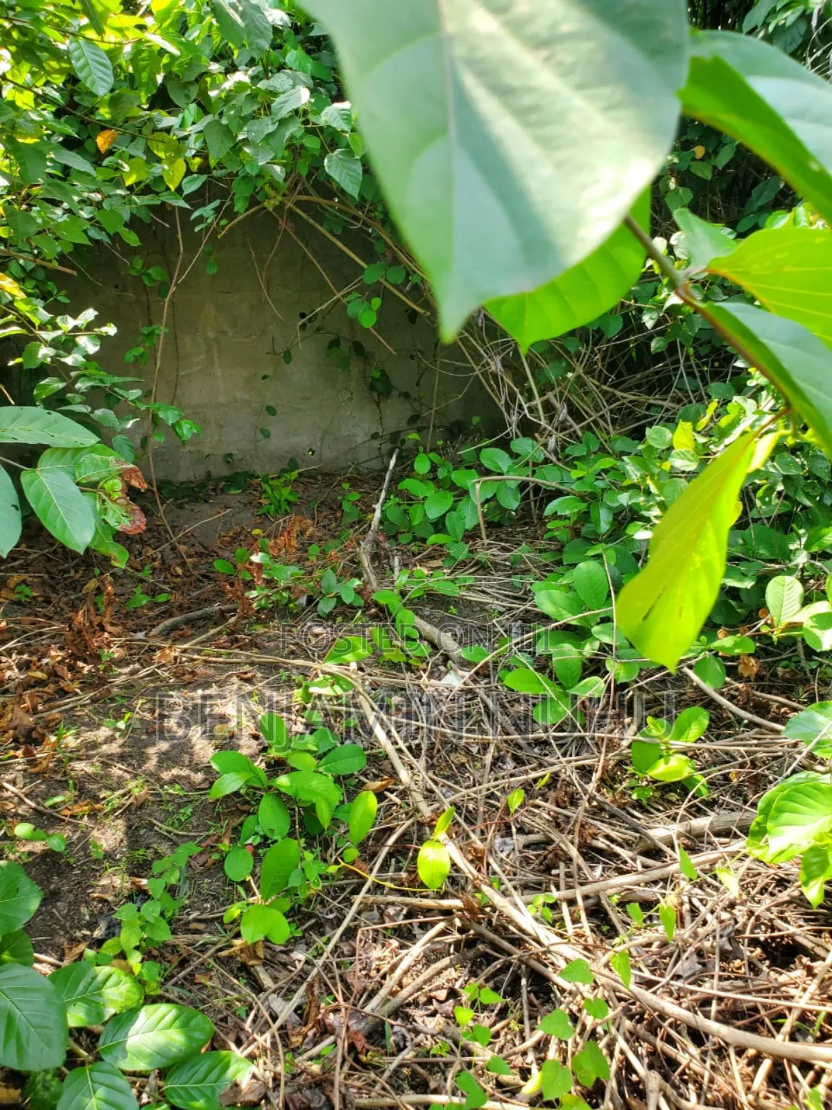 A C of O of Fully Dry Half Plot of Land in a Buy Built Environment