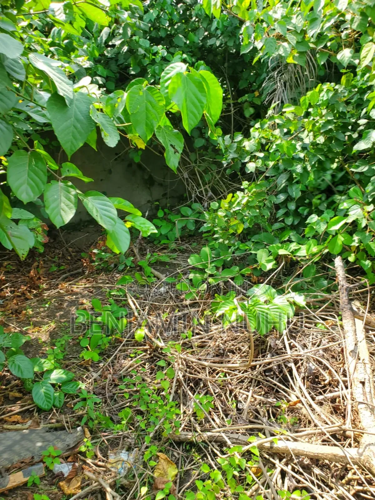 A C of O of Fully Dry Half Plot of Land in a Buy Built Environment
