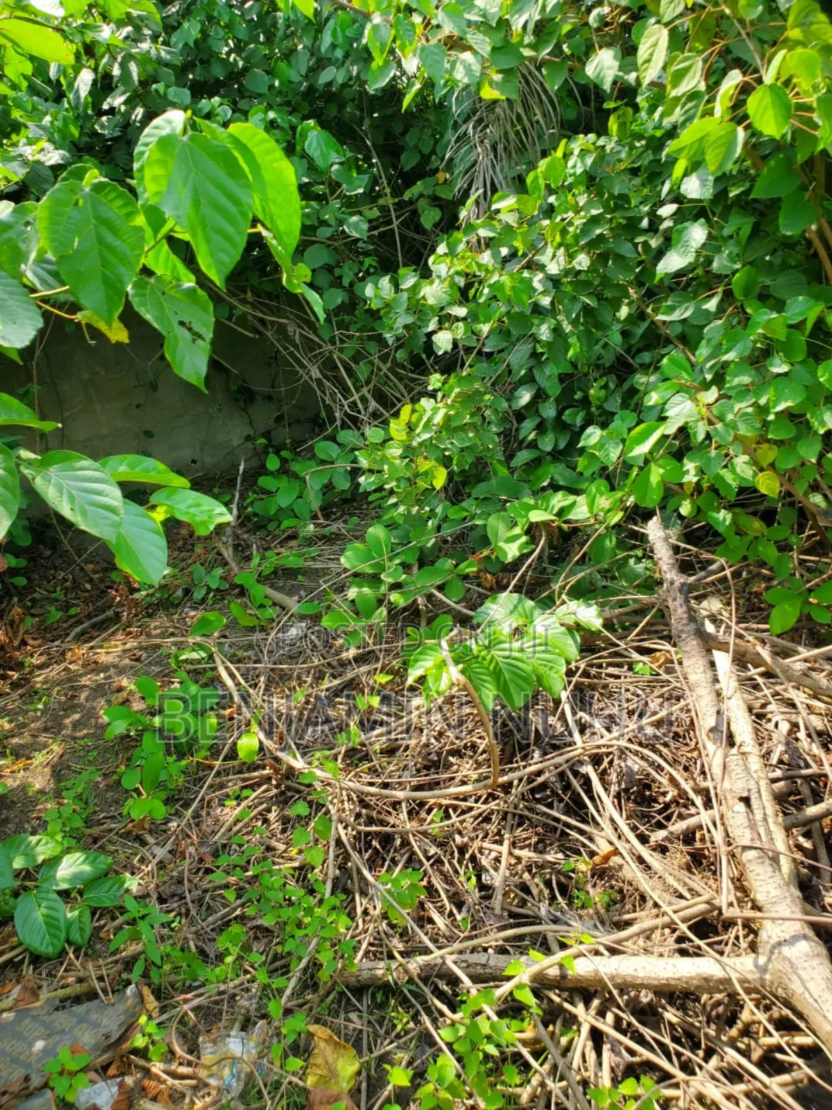 A C of O of Fully Dry Half Plot of Land in a Buy Built Environment