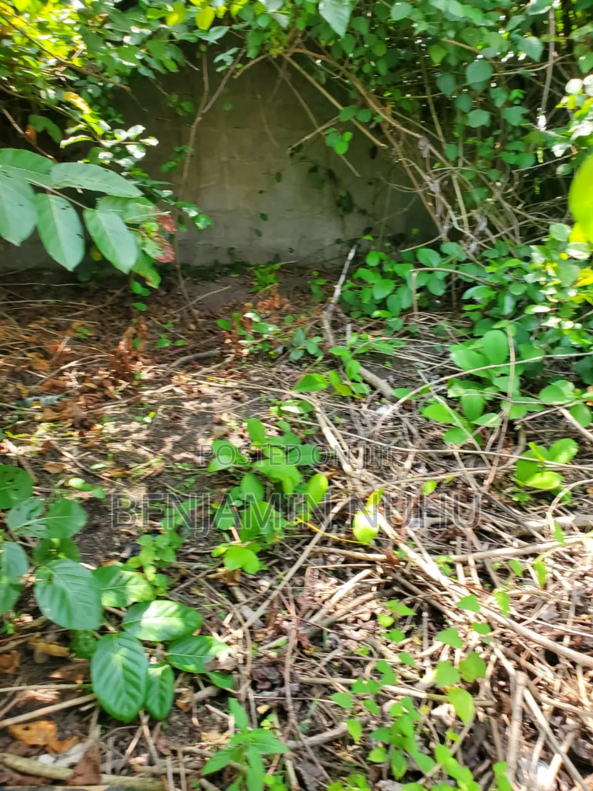 A C of O of Fully Dry Half Plot of Land in a Buy Built Environment
